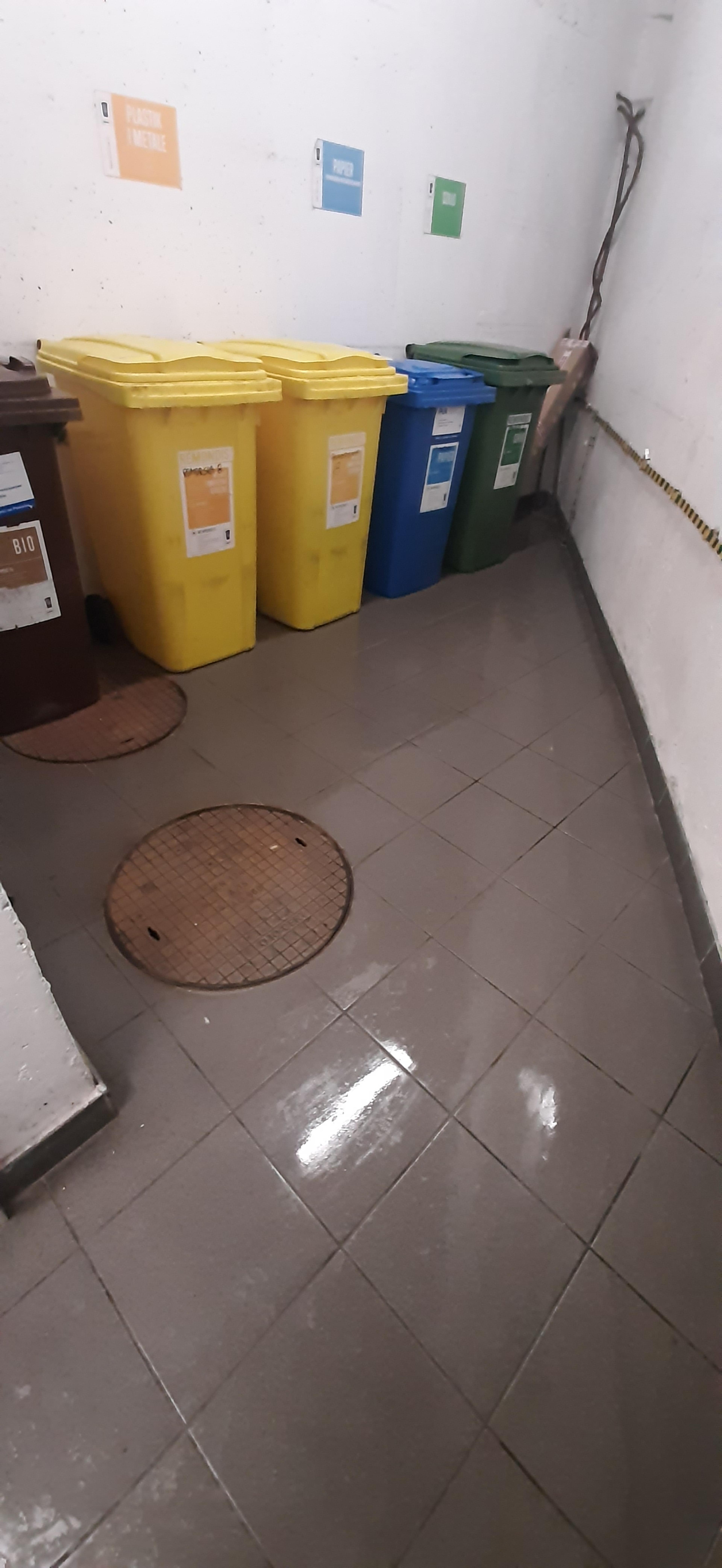 c1849439-3c52-4110-b4c4-b4c52776261d.jpeg