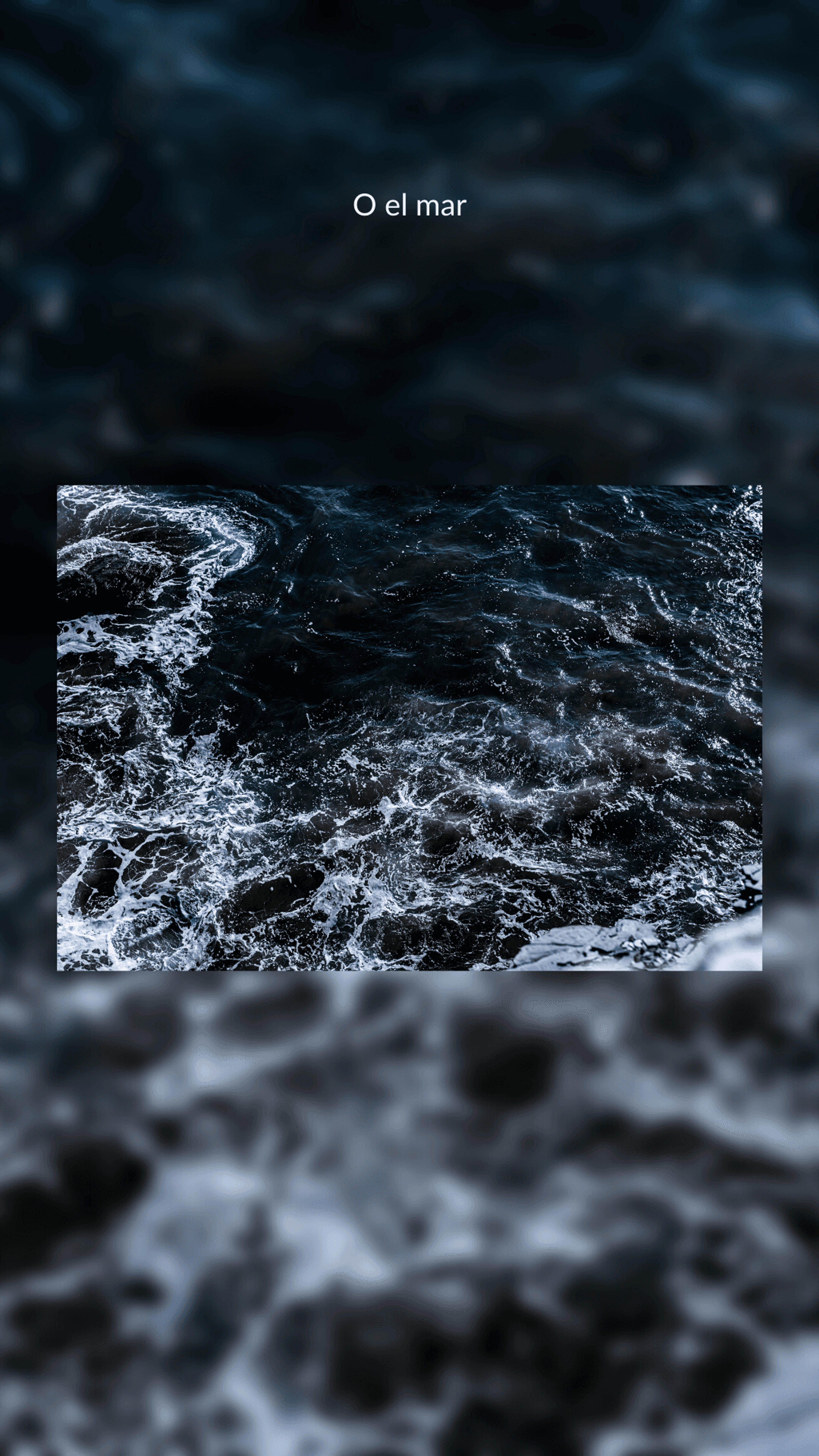 c1b76764-0208-4f27-a7a2-353ded0d9626.png