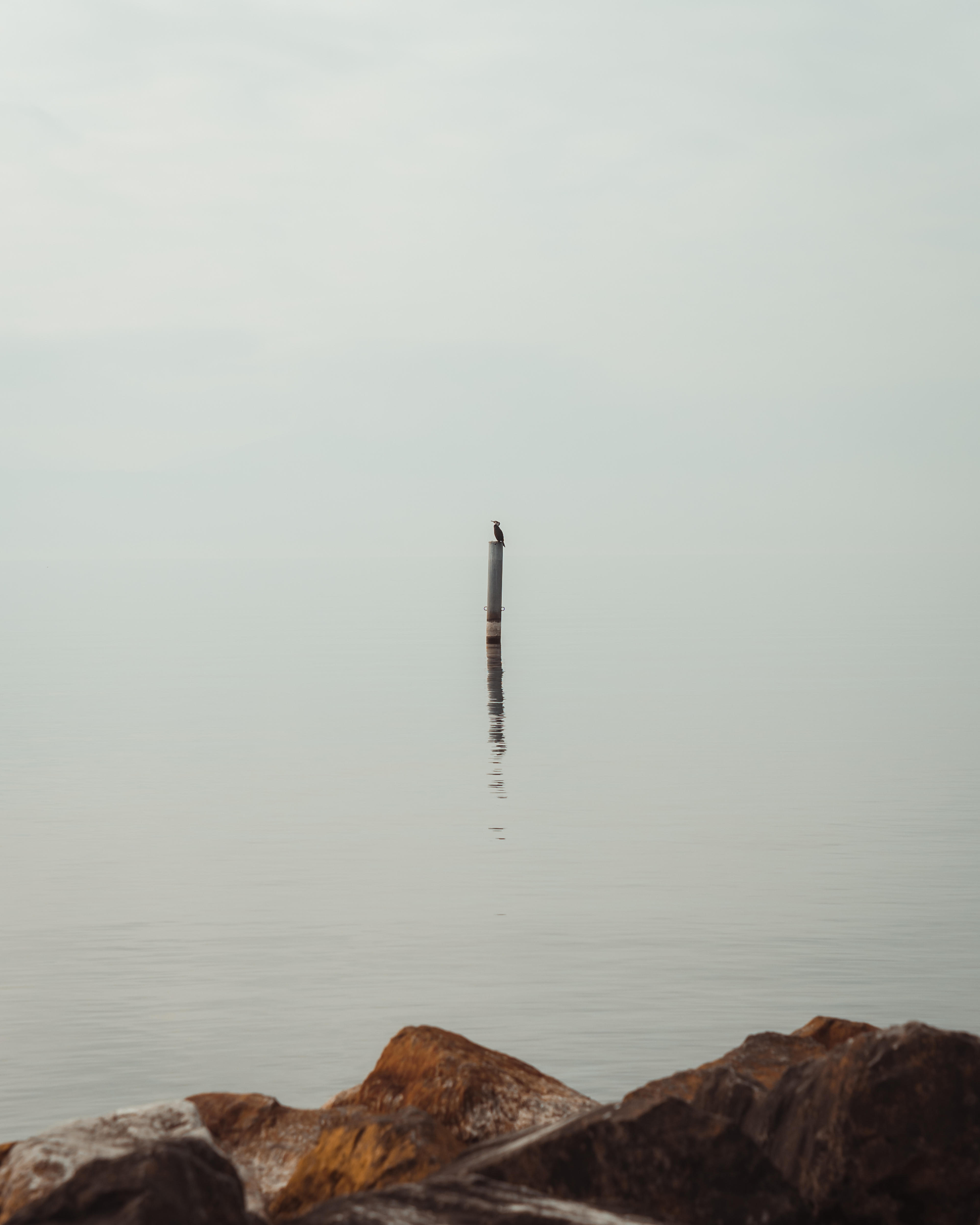 c1cca6b5-98dc-447a-9ff6-c782c67372b0.jpeg