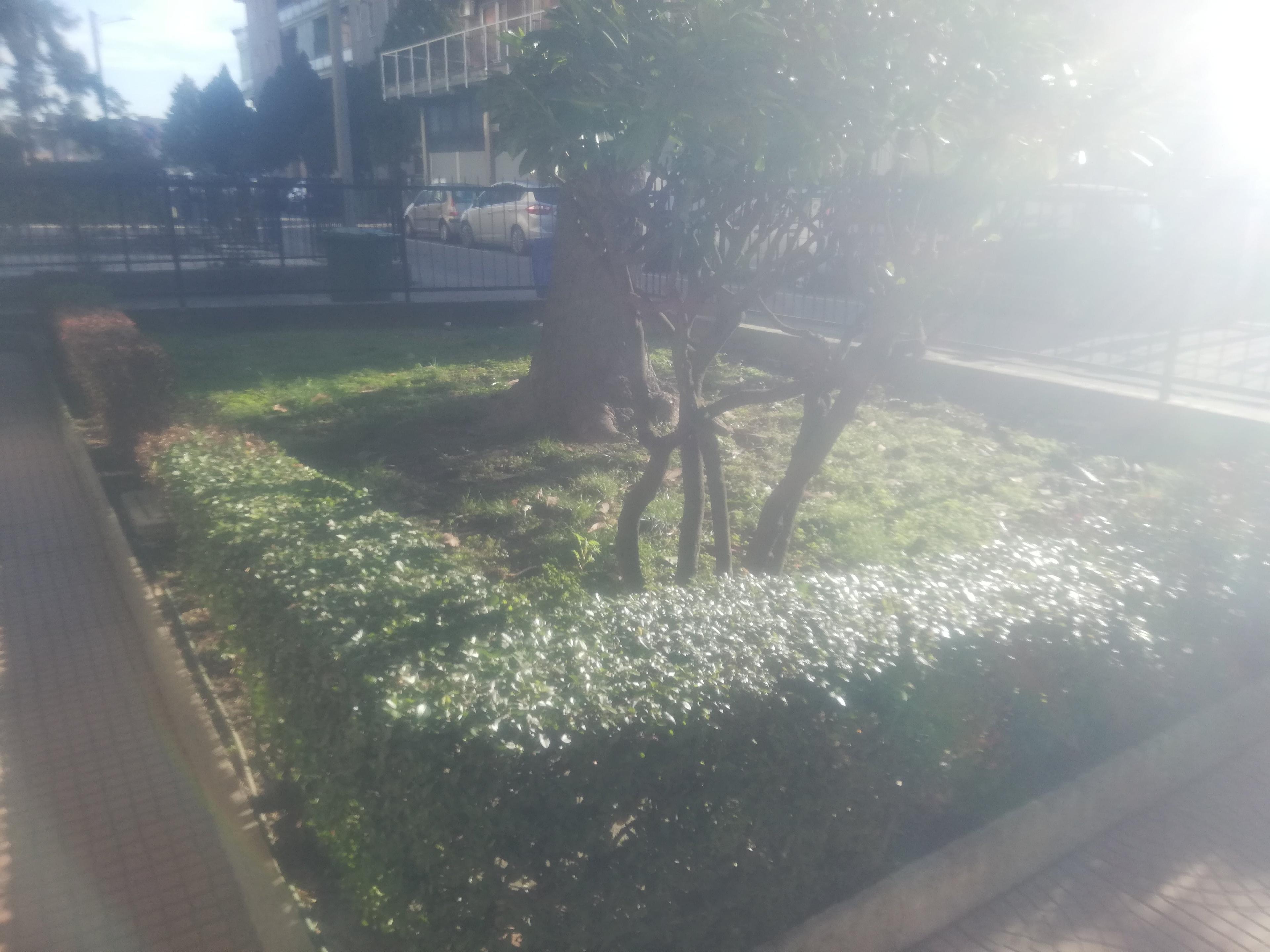 c1e01988-24a7-4cfa-b040-597f013d8093.jpeg