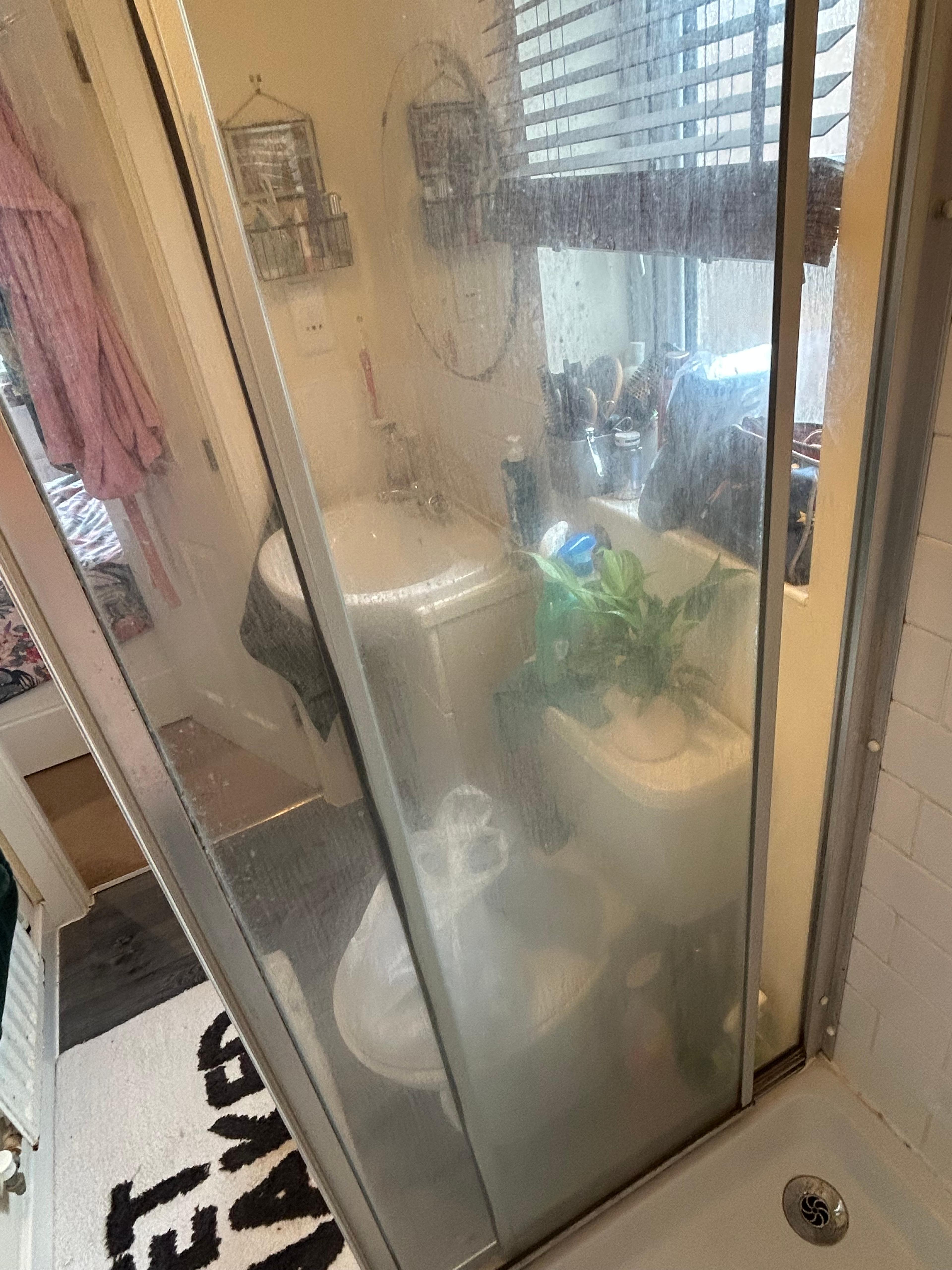 c2056f25-d9f9-4cec-8040-ded6c86dd4aa.jpeg