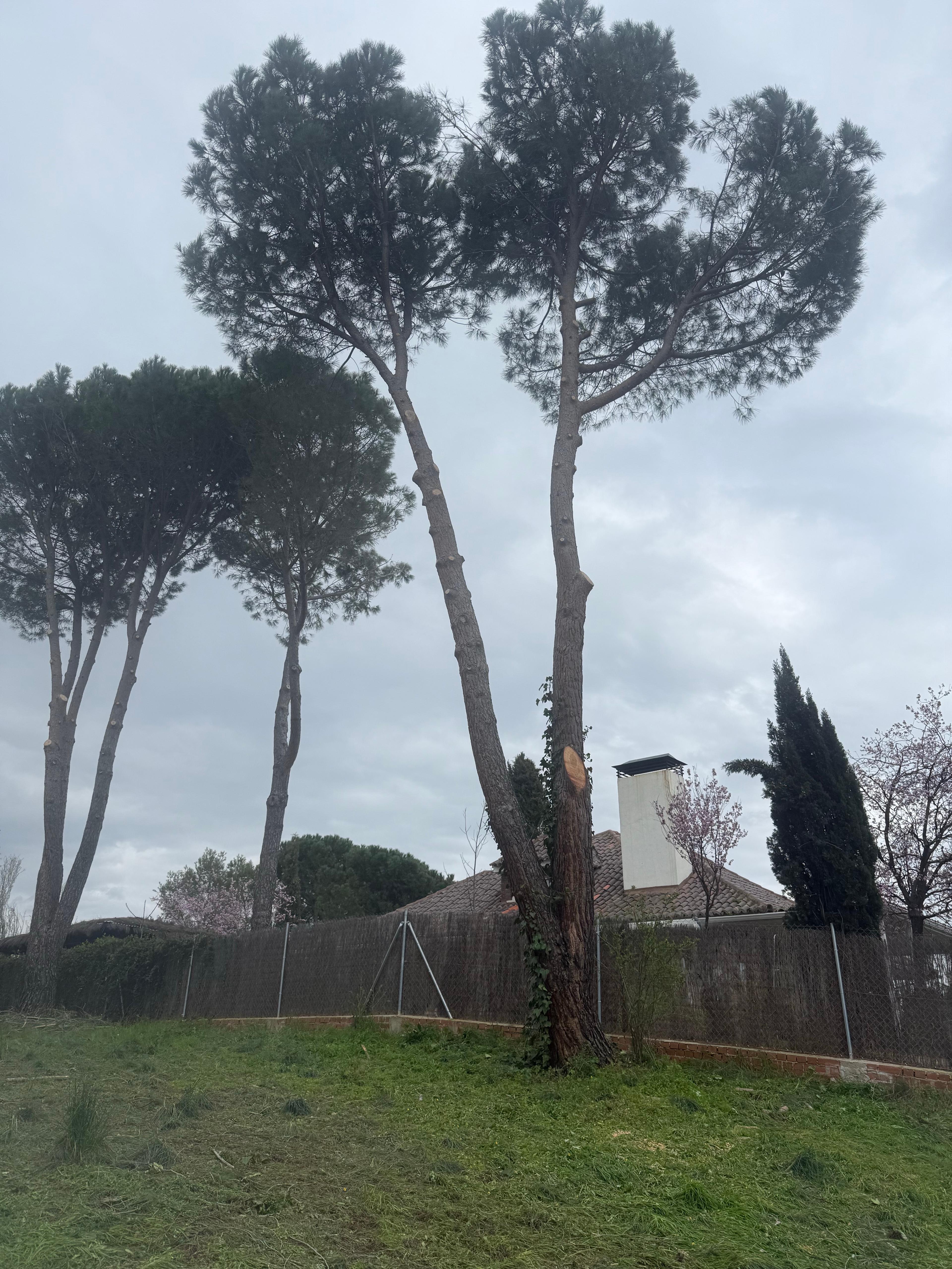 c2235d48-5dae-474e-a0e4-d4592e19aa55.jpeg