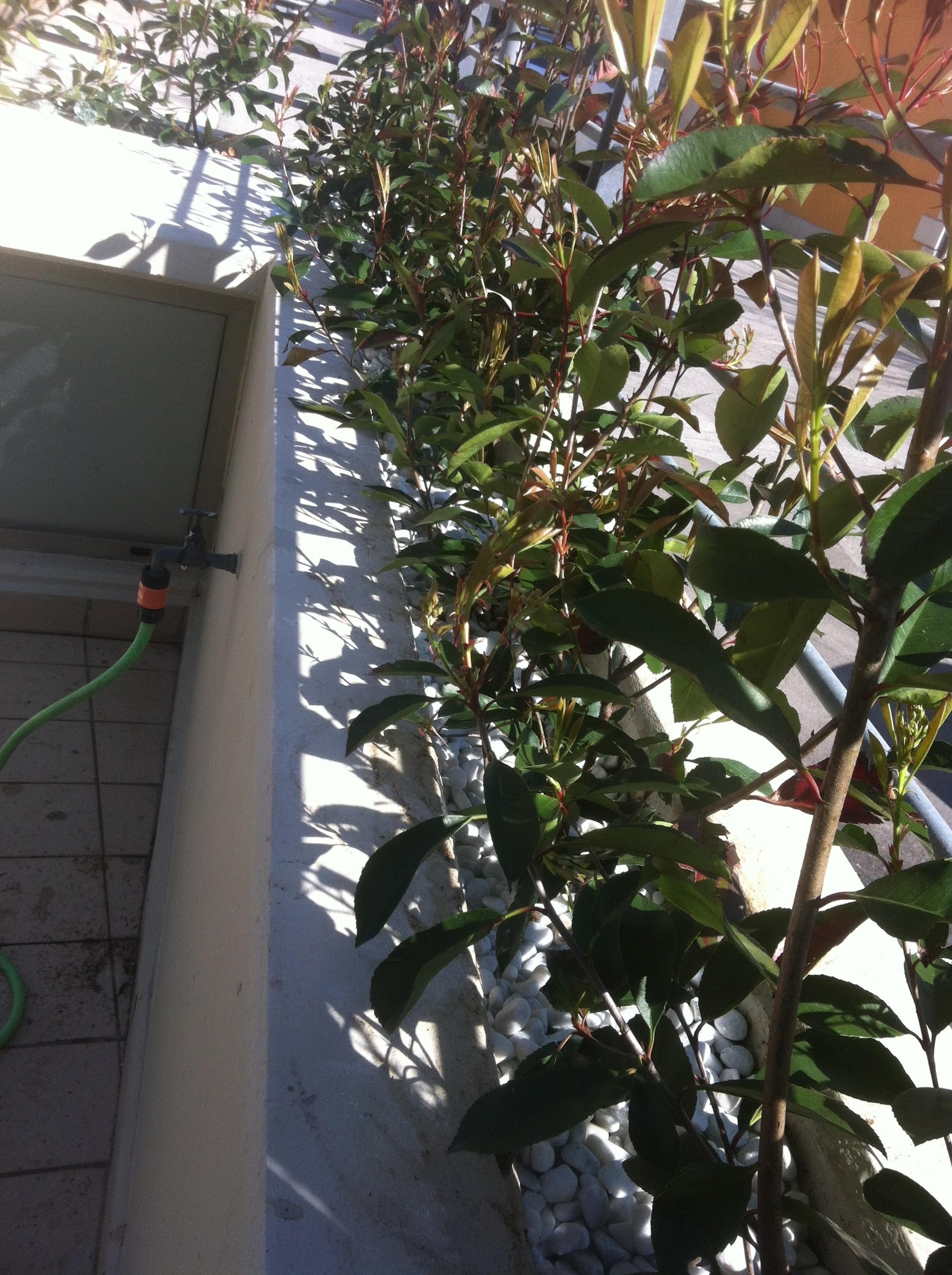 c224514d-9ae4-4162-8c05-b158eaacae23.jpeg