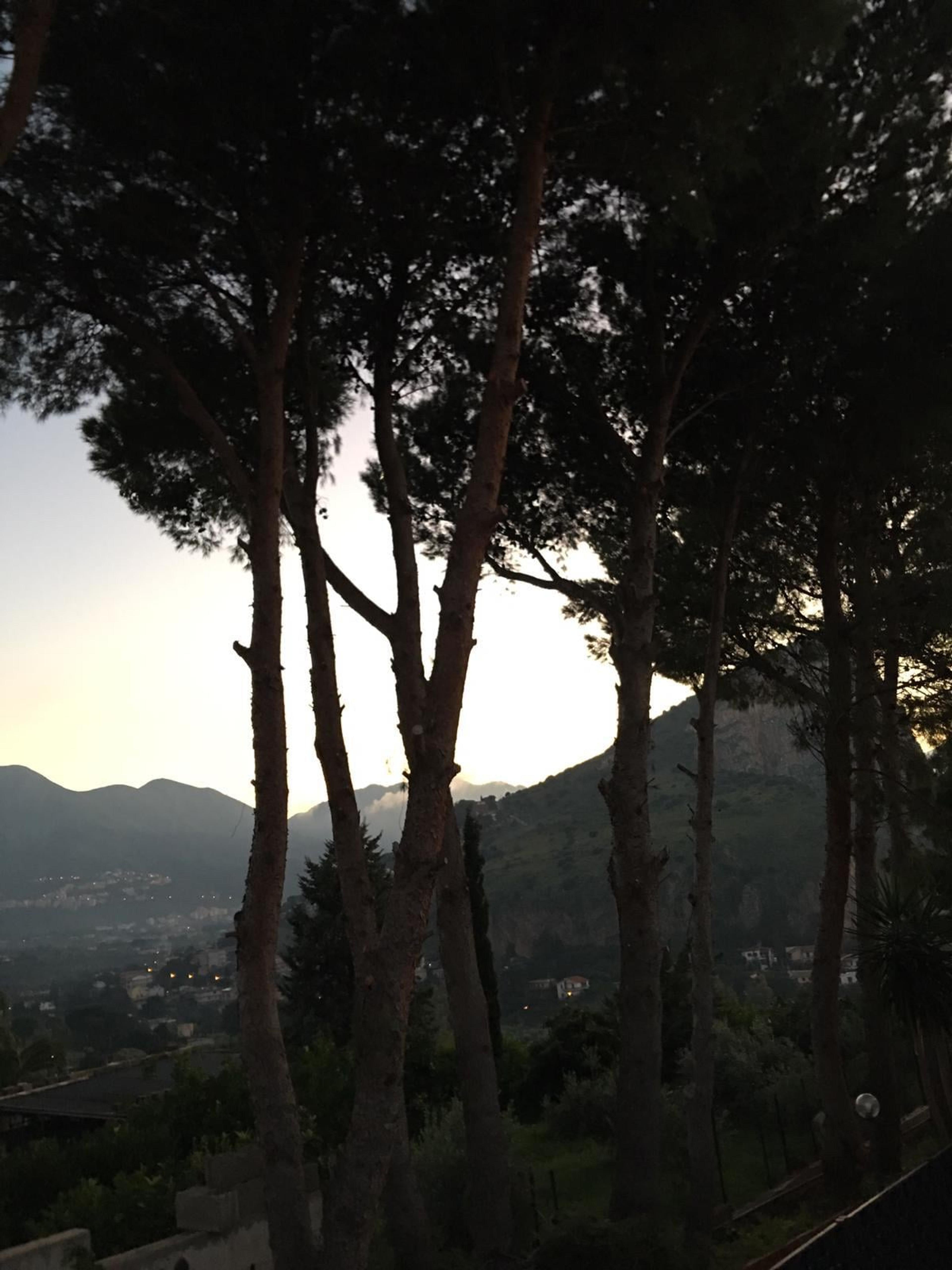 c284798a-5502-4248-bd35-947b80337289.jpeg