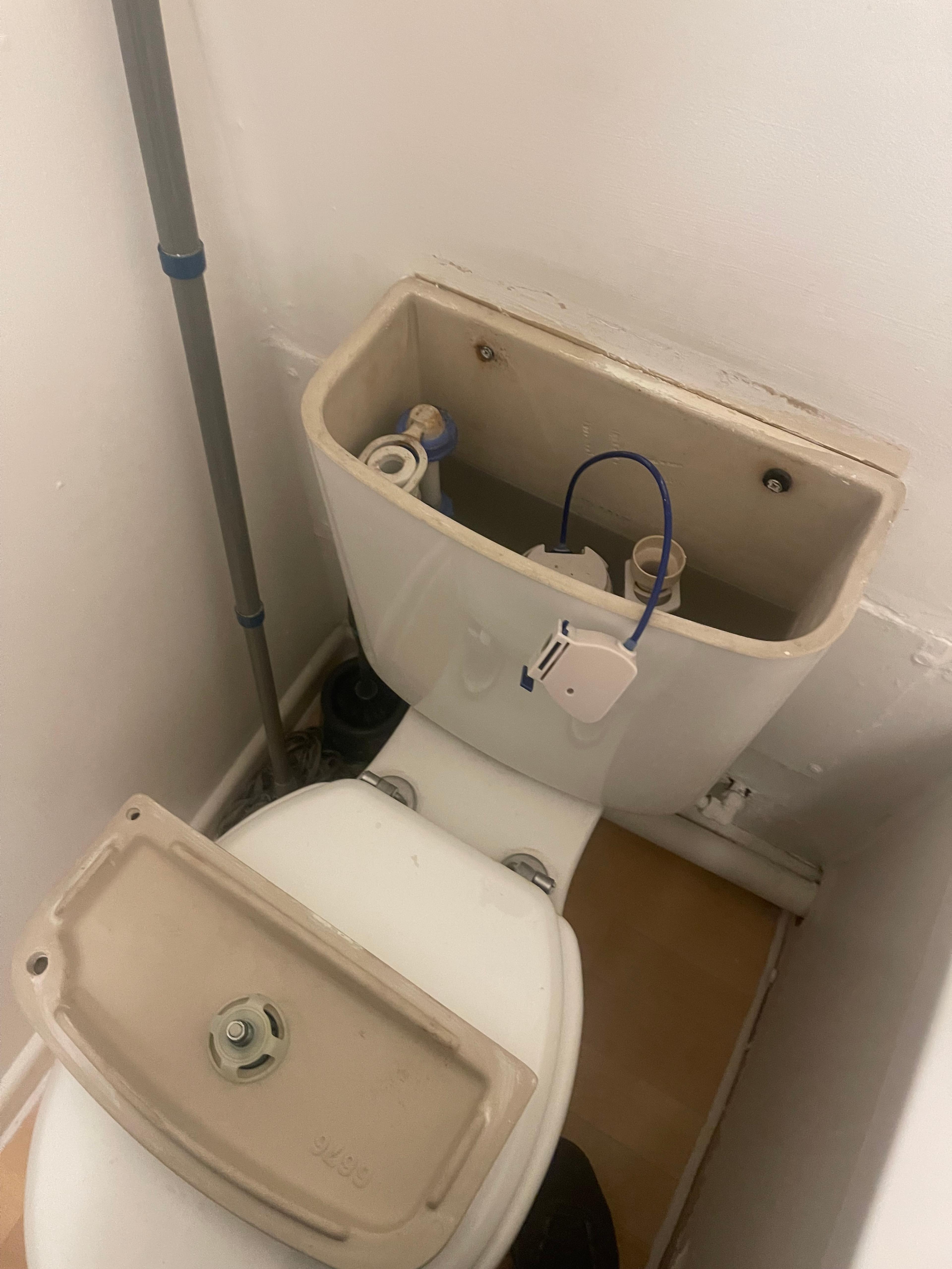c2957ab9-4e75-436e-9738-798f2c374c87.jpeg