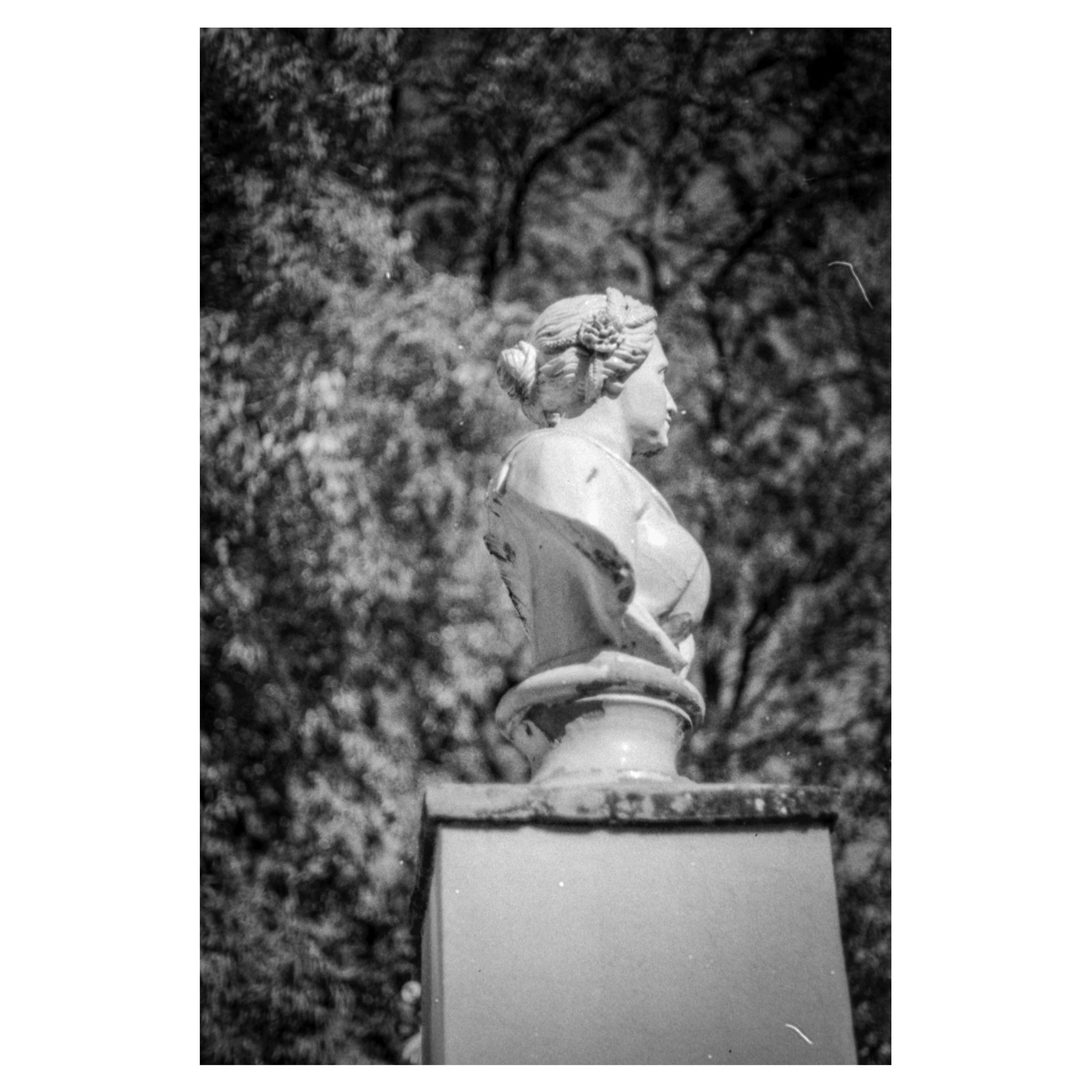 c303217e-3742-4c27-a854-c088c0881cb8.jpeg