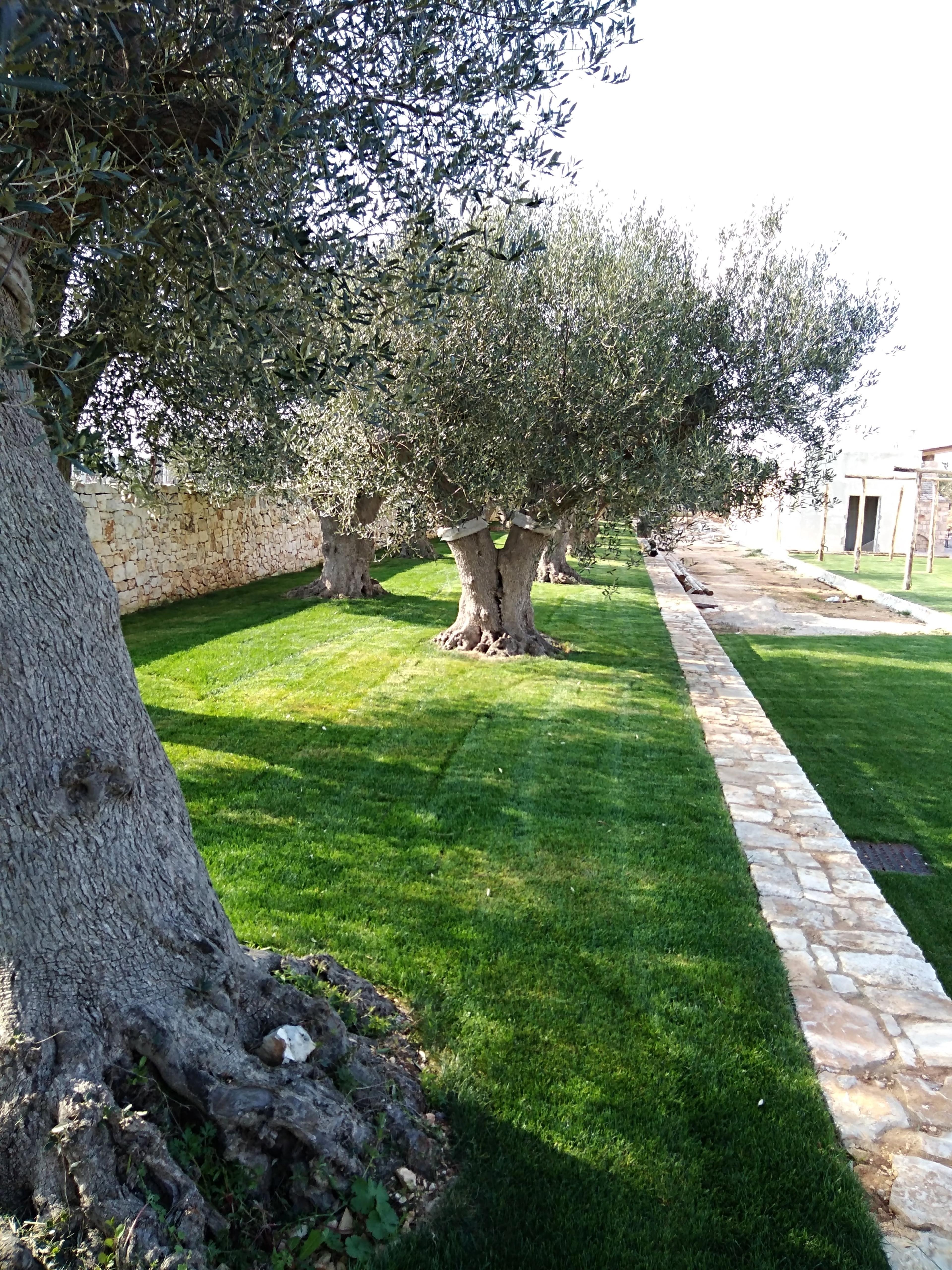 c3a2c063-b9dc-4650-8a35-112a59726af0.jpeg