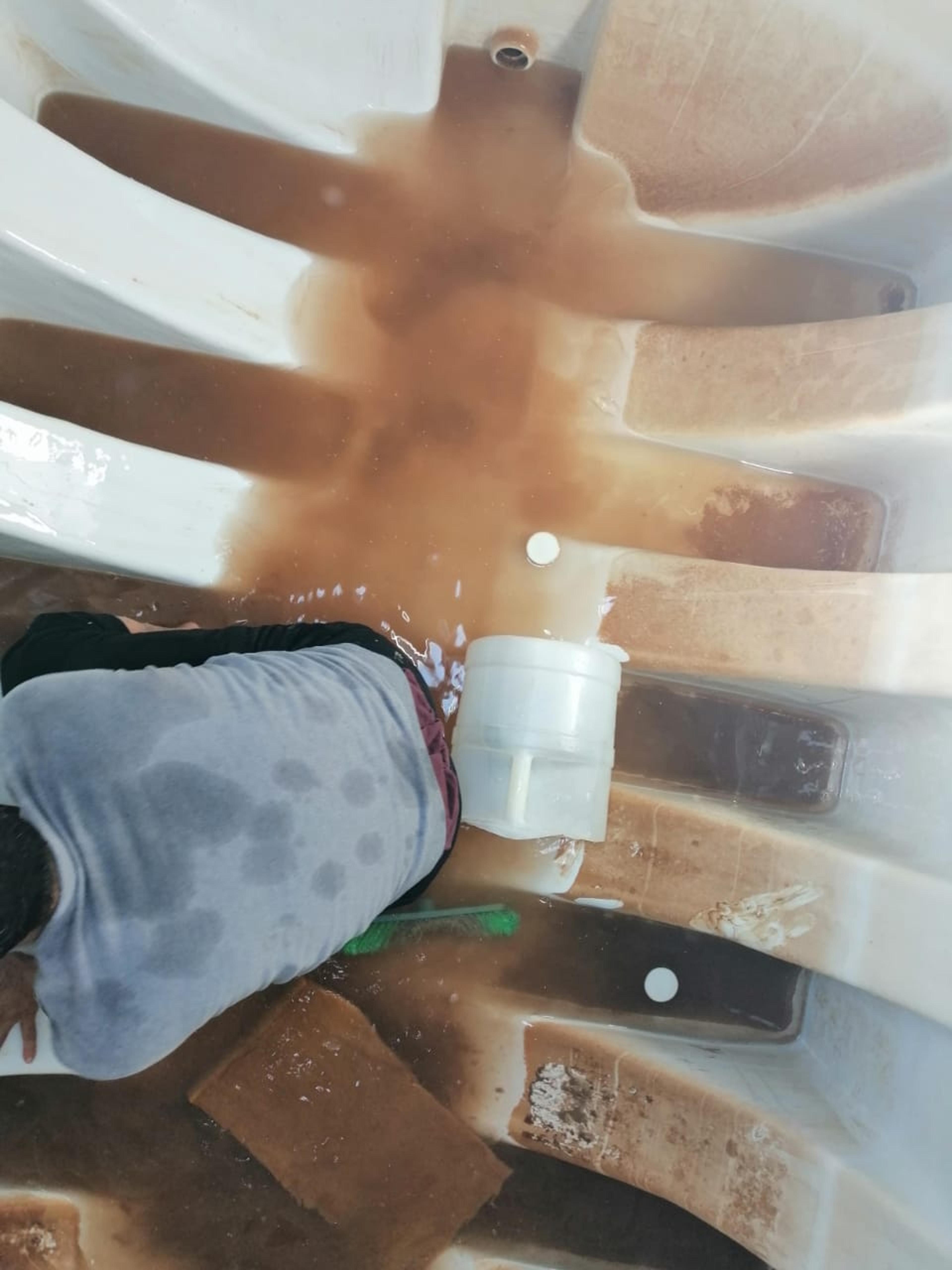 c3acadb6-fd04-45dd-8308-d45a907d364e.jpeg