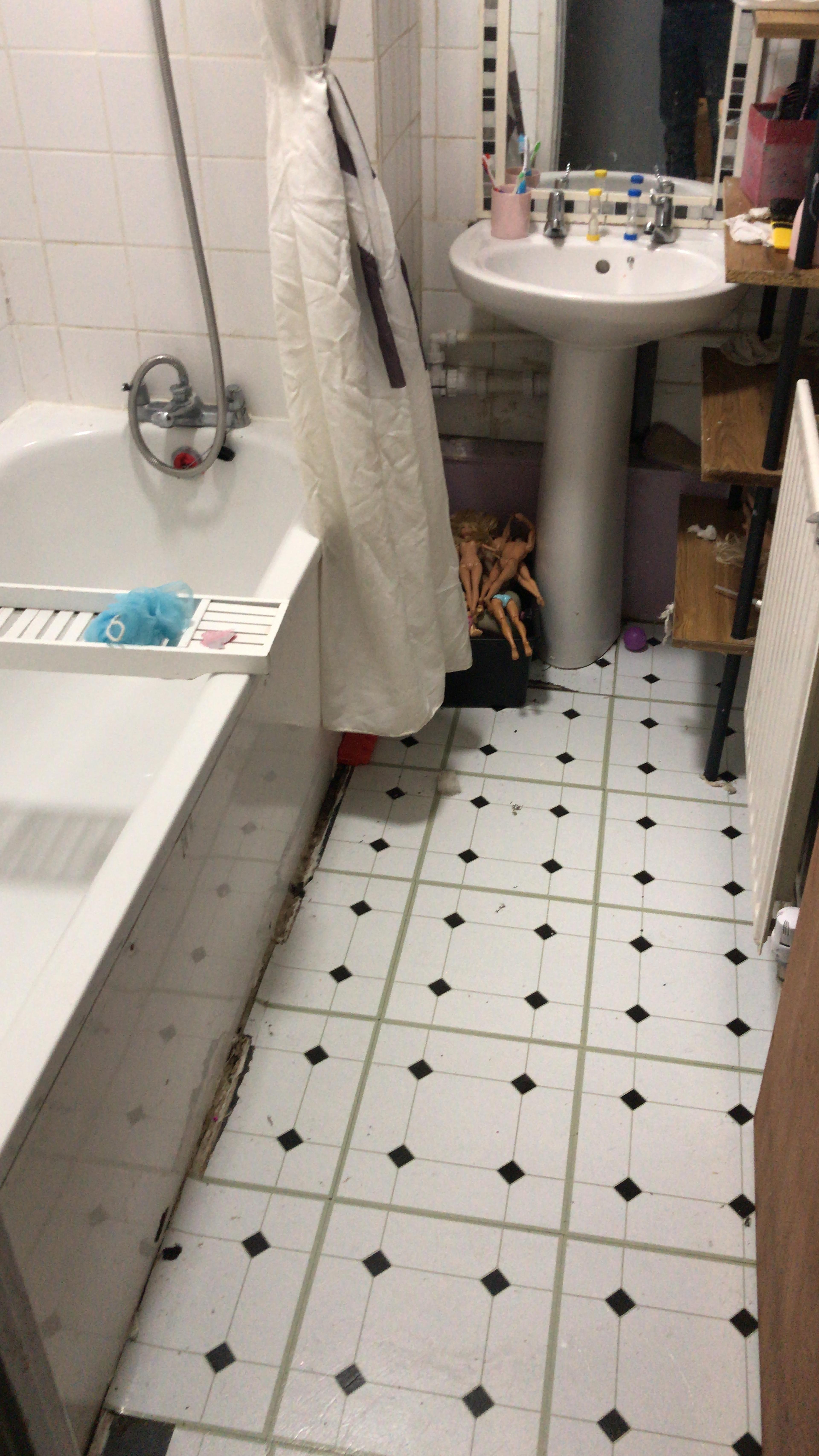 c3edaa1a-0e80-4090-ba97-7de058253b75.jpeg