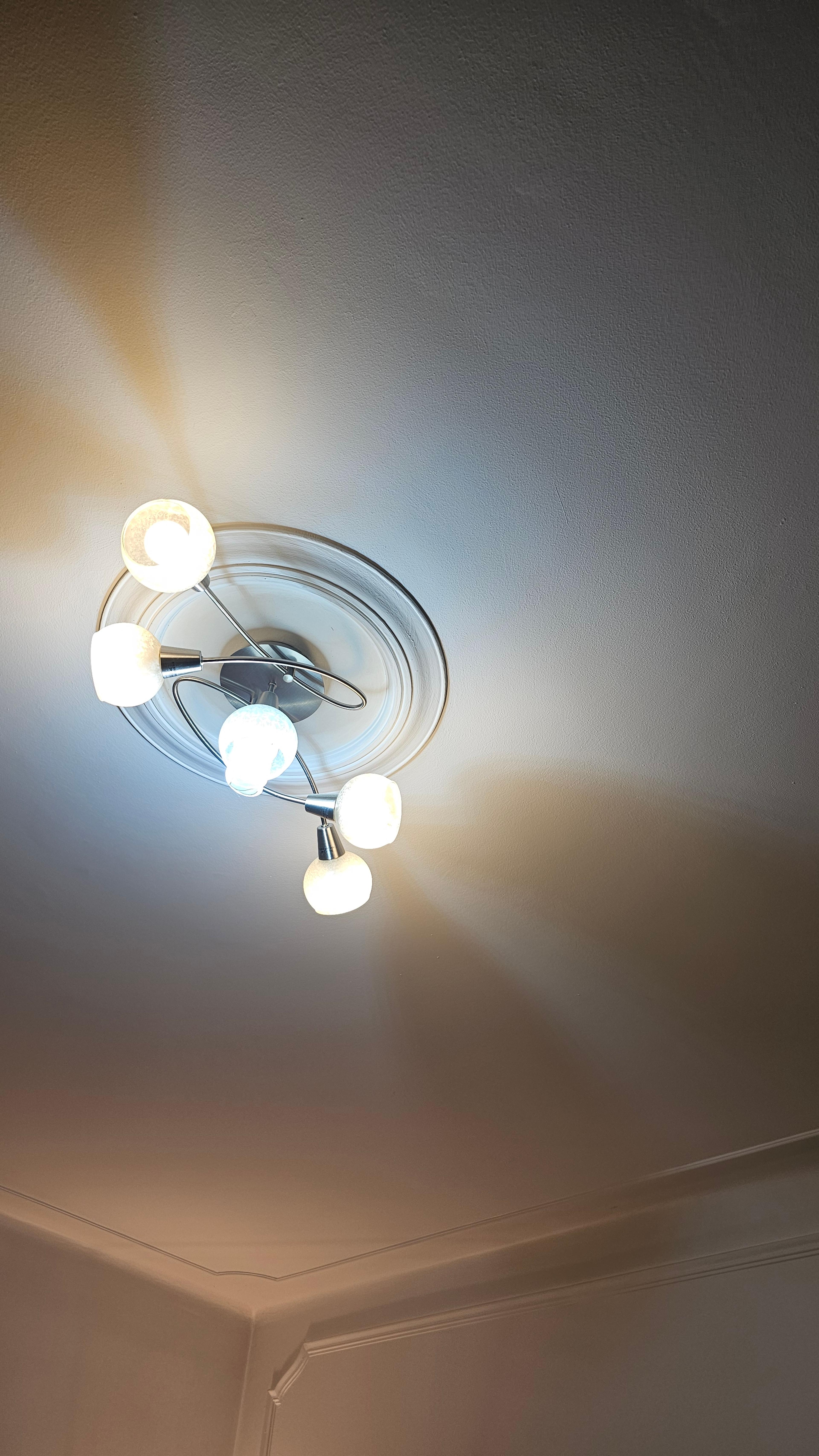 c40f4555-322a-4f08-af45-2a4059385f81.jpeg