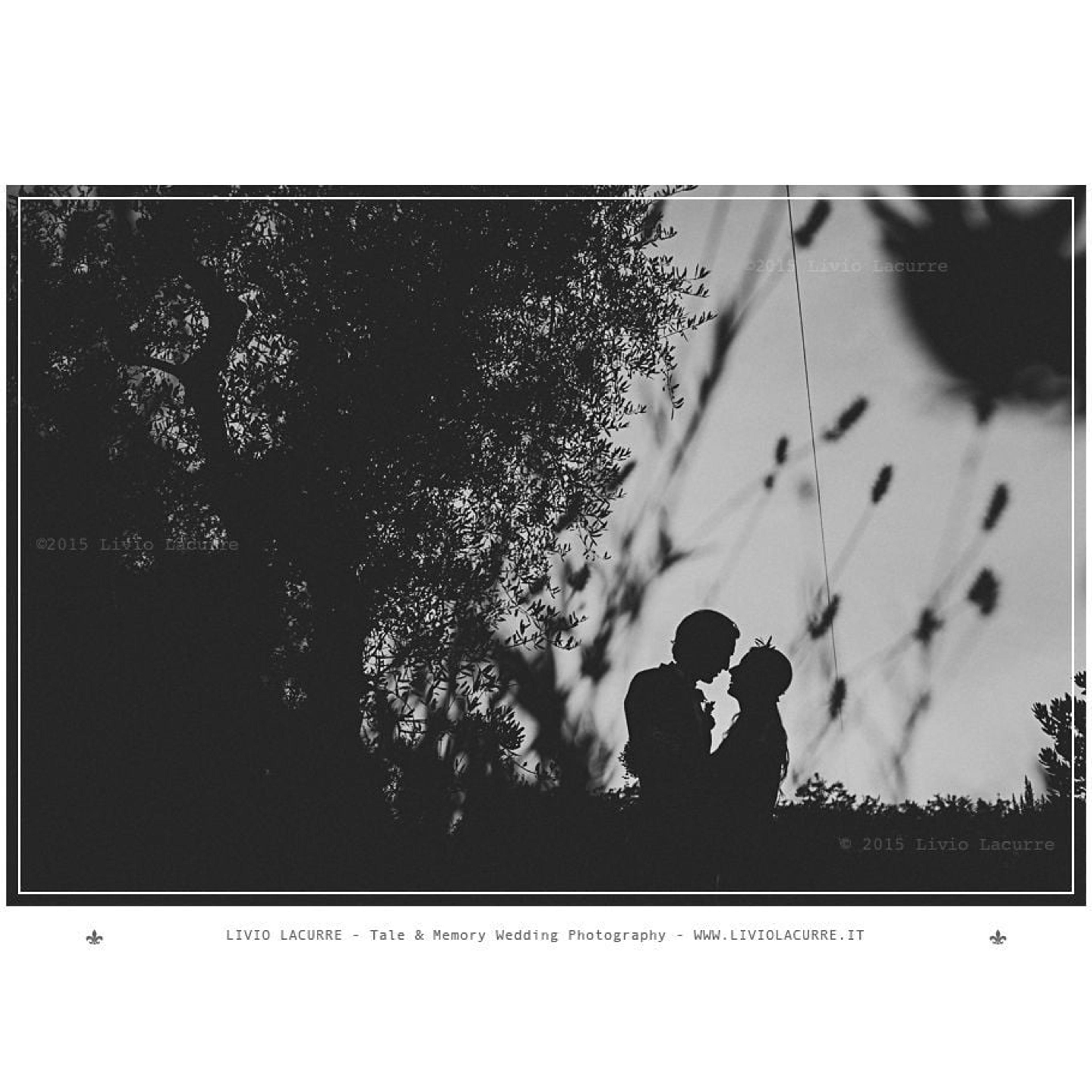 c42ee5d6-731c-47af-9478-1a66ebeb4dd7.jpg