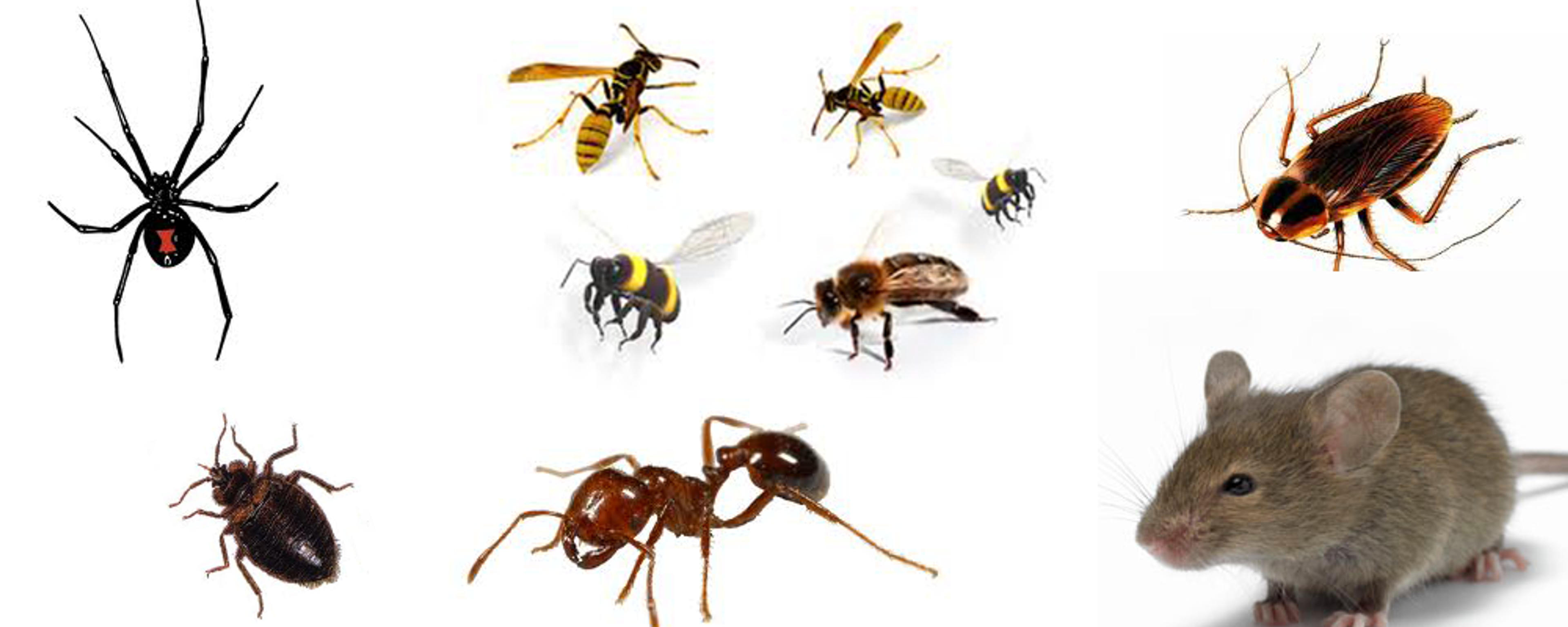 c44db922-79c2-47fd-8a51-07f3d441b46c.png