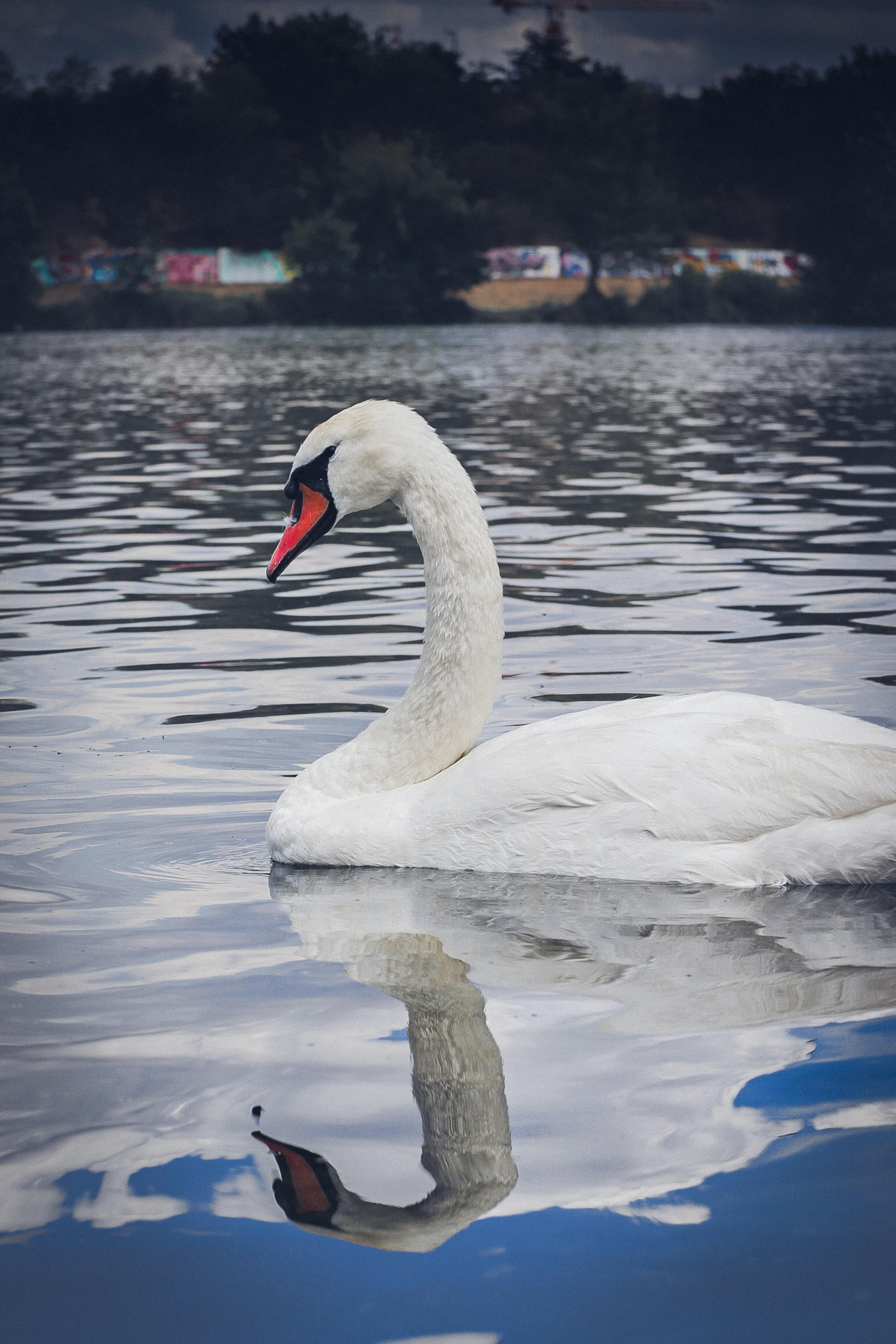 c4654b45-25b4-49fc-a4de-9e9fe31ae138.jpeg