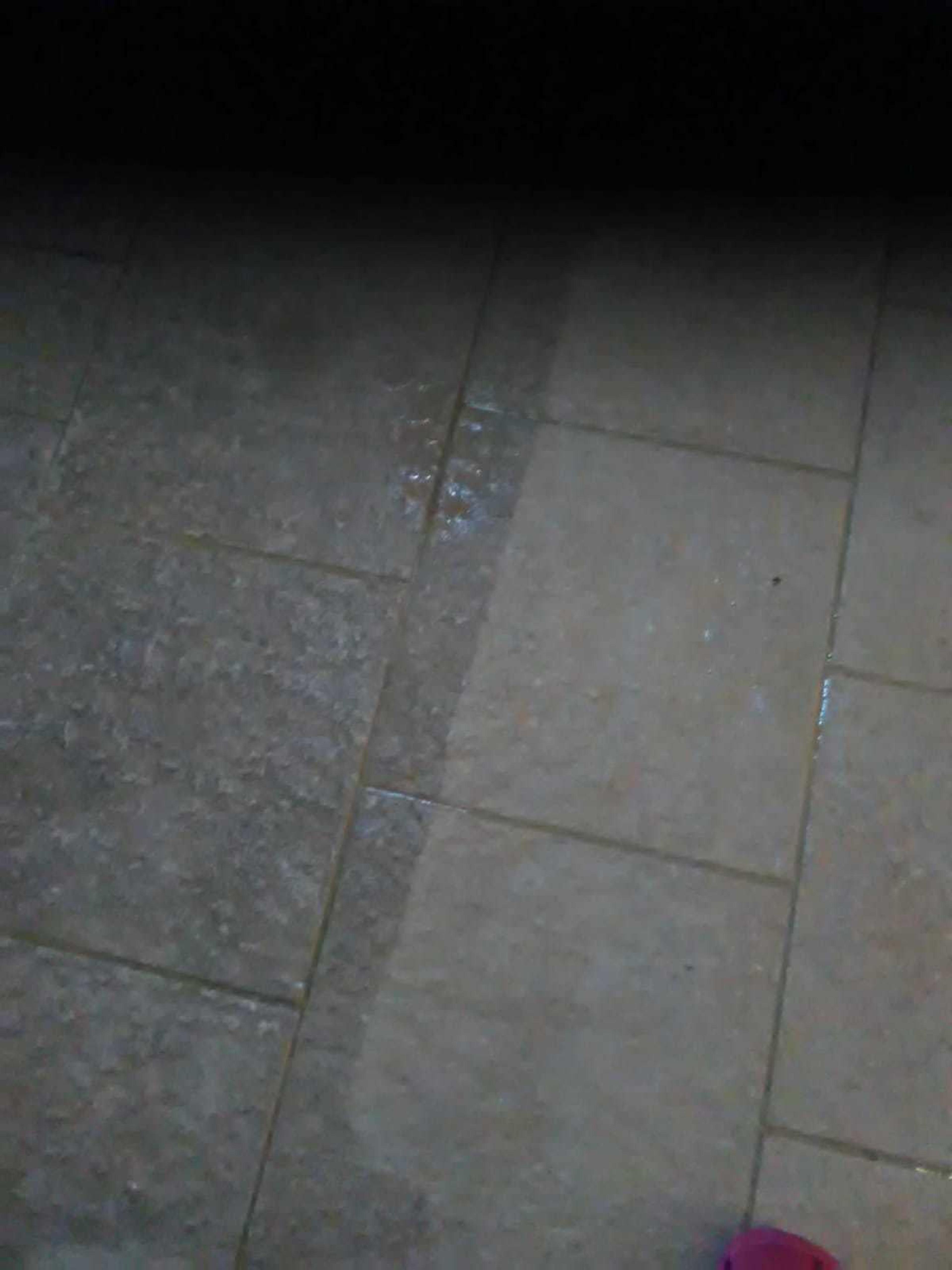 c46f532a-ac06-47c8-b94a-1675565647a9.jpeg