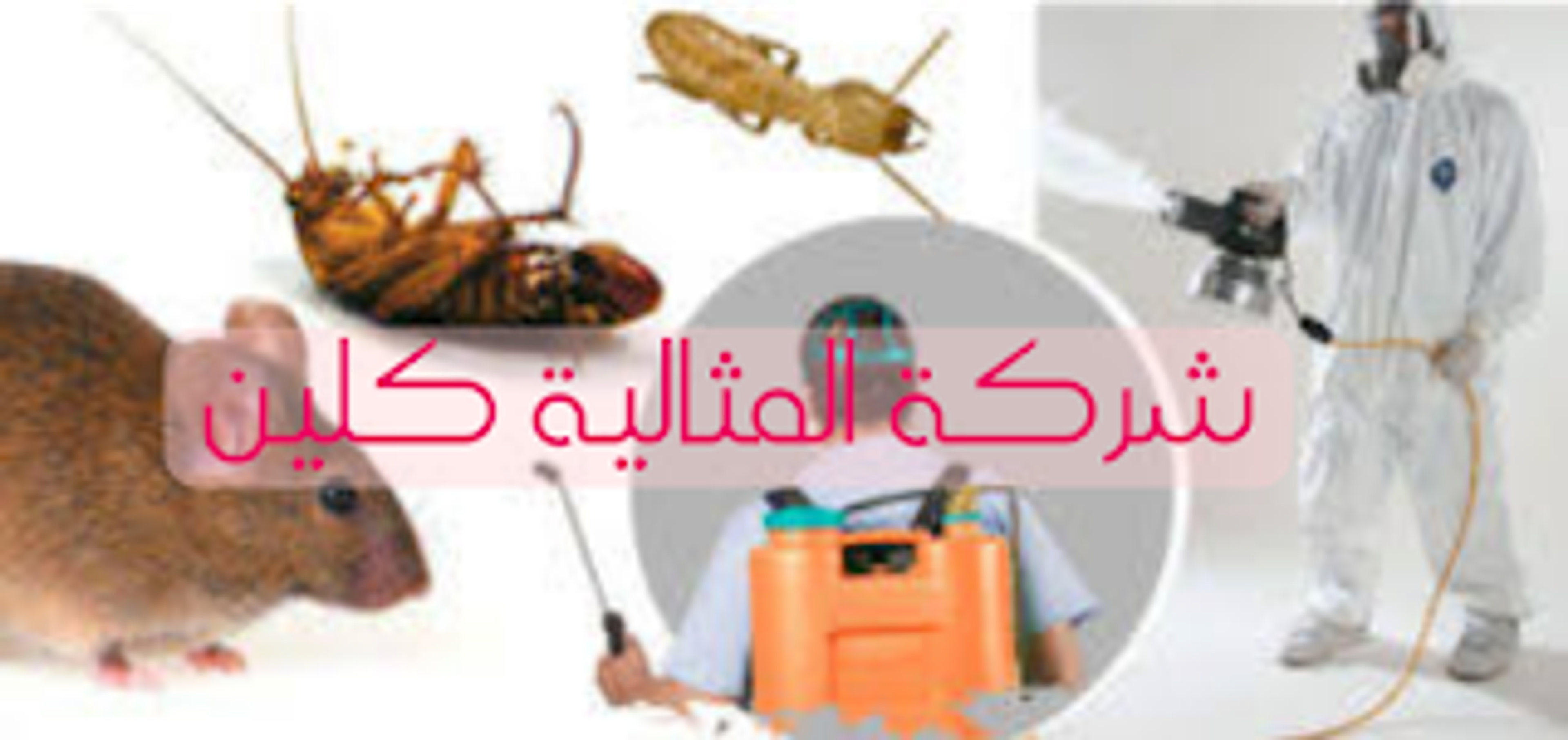 c52772a3-ab43-4d1c-98e9-615a3900d127.png