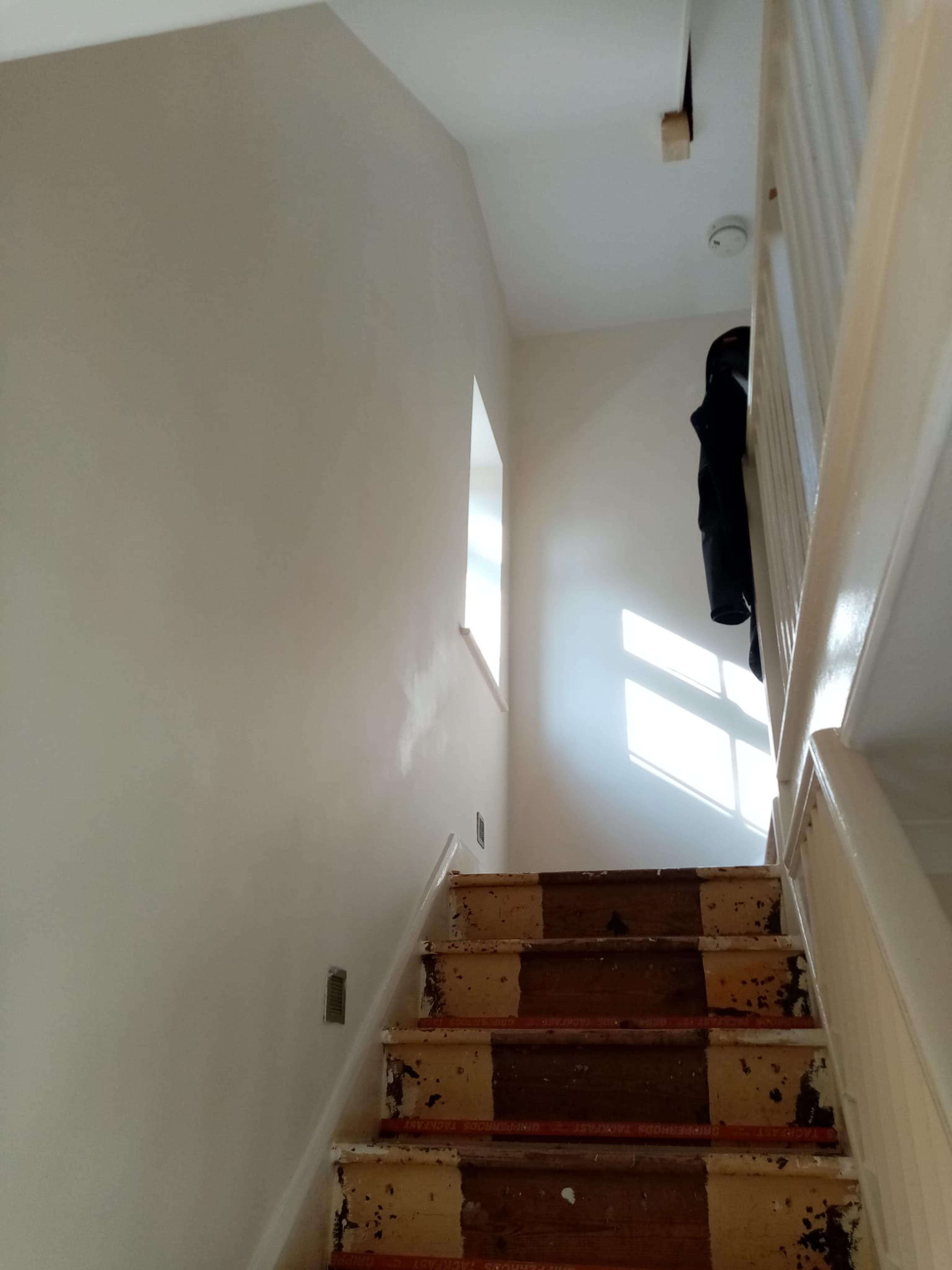 c5412003-65dc-4d06-9f40-c0a3cdcb20c7.jpeg