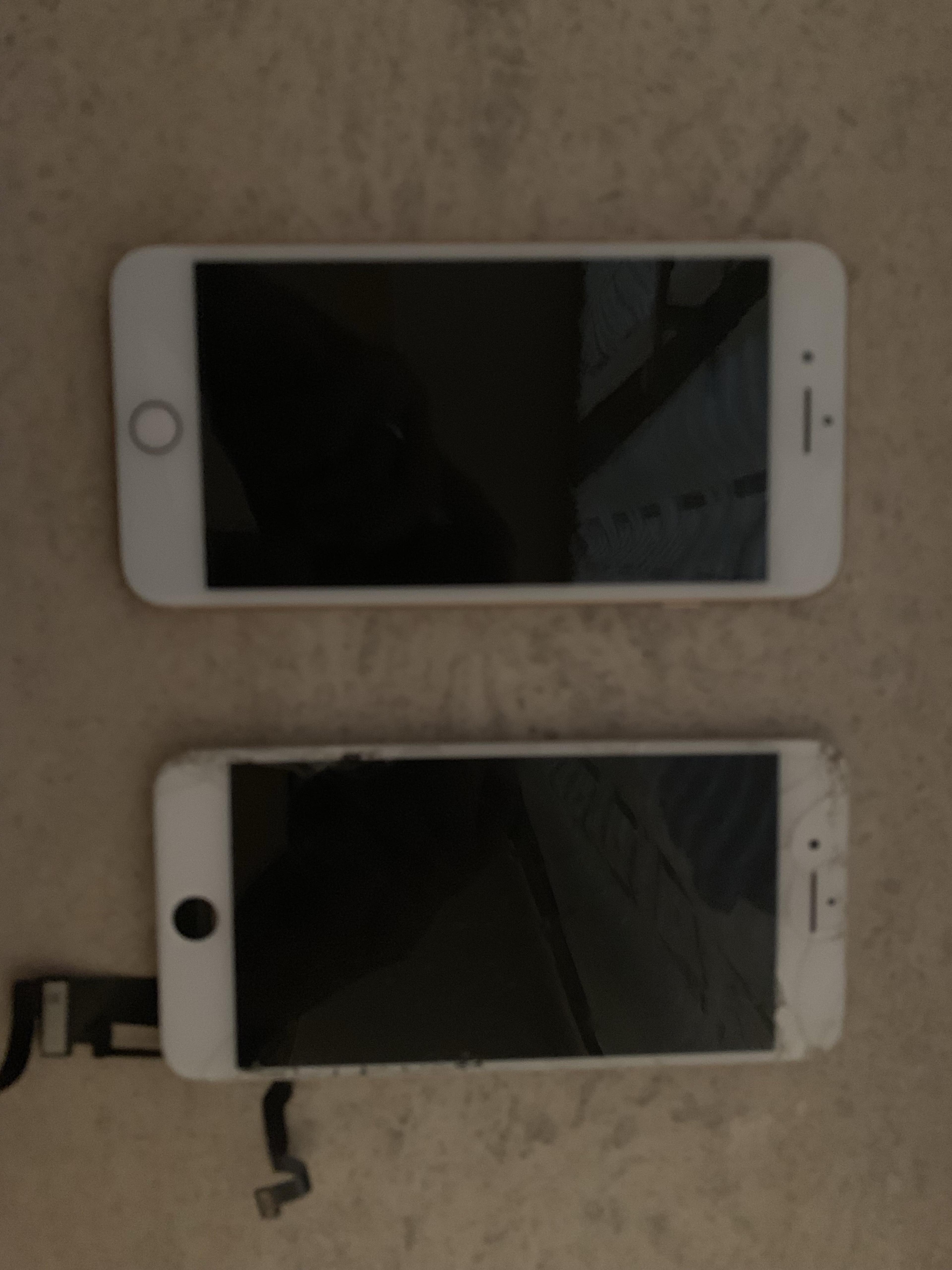 c5486d13-50af-4d36-9048-9577ef0c252d.jpeg