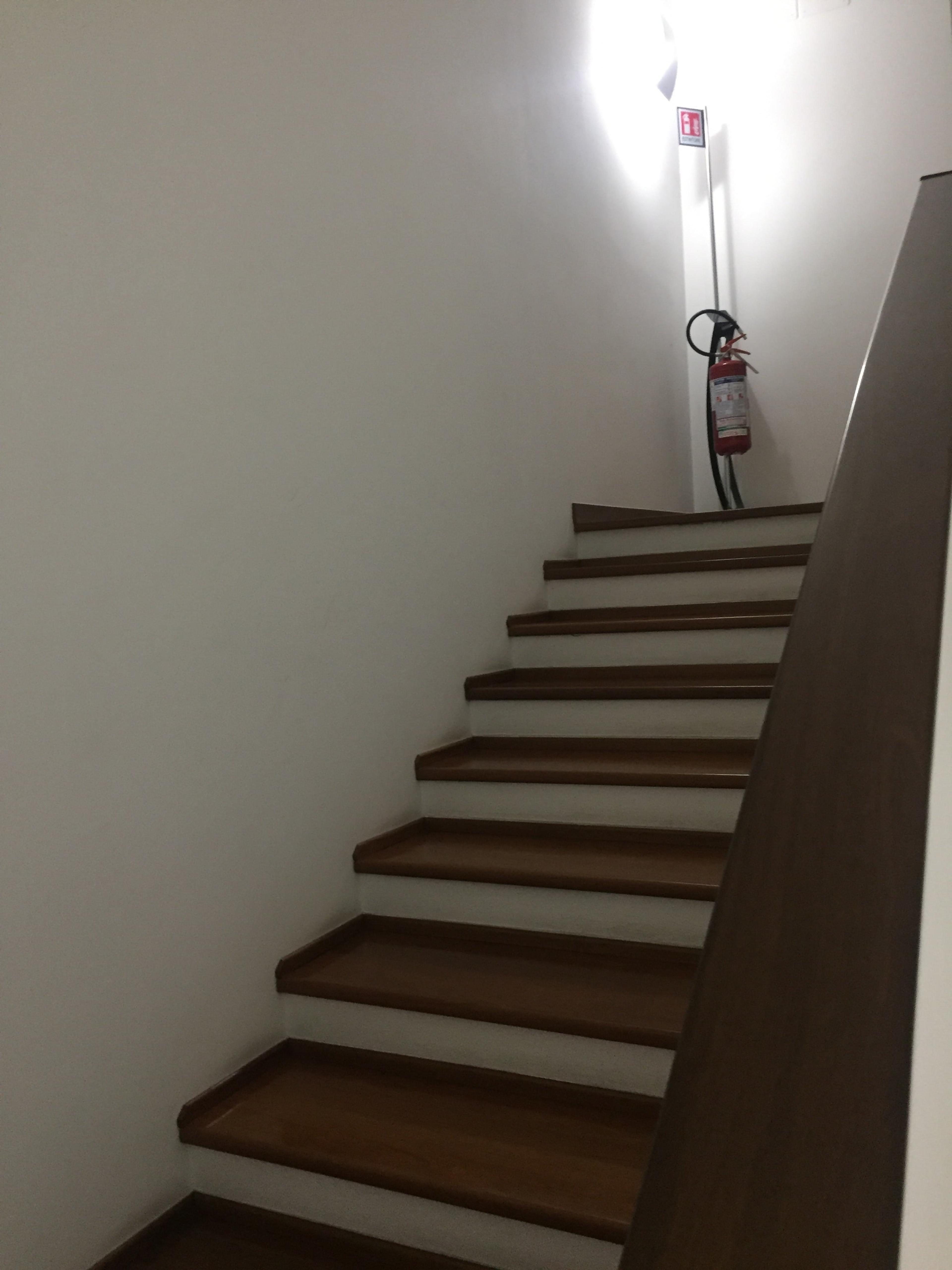 c55f77a7-6f7e-4609-a7bb-094ffa34d227.jpeg