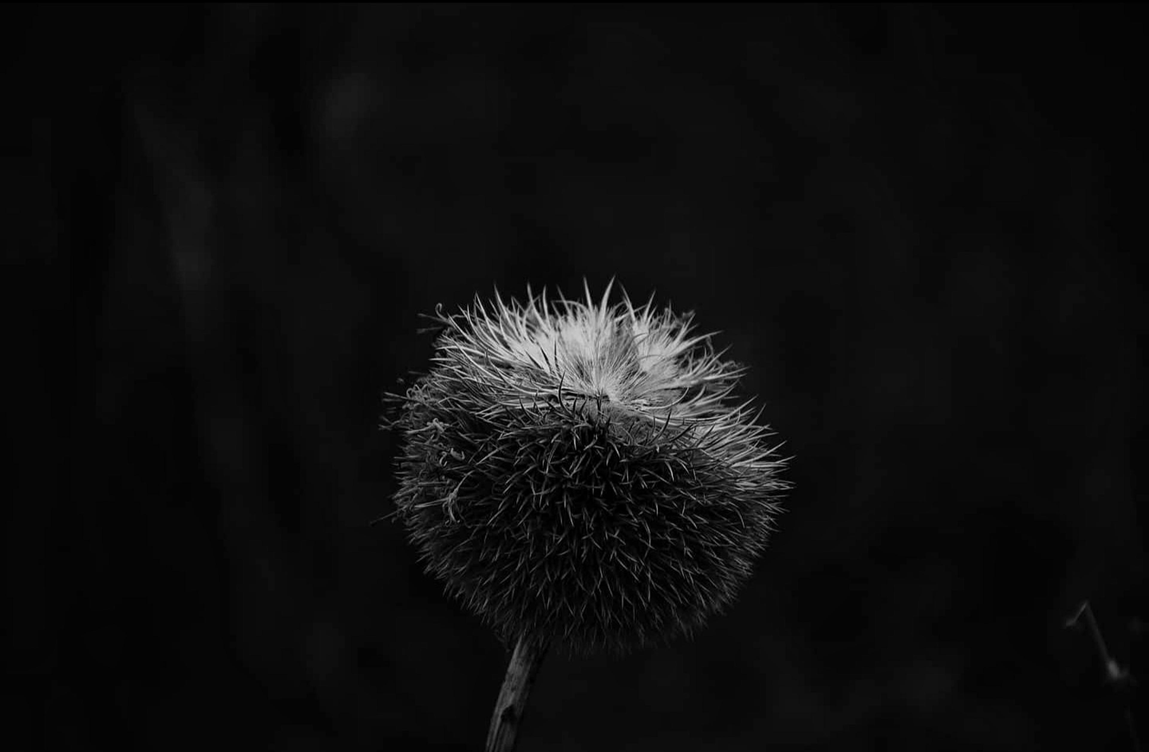 c5642d8d-dcd0-440e-8adb-0cddc35449a5.jpeg