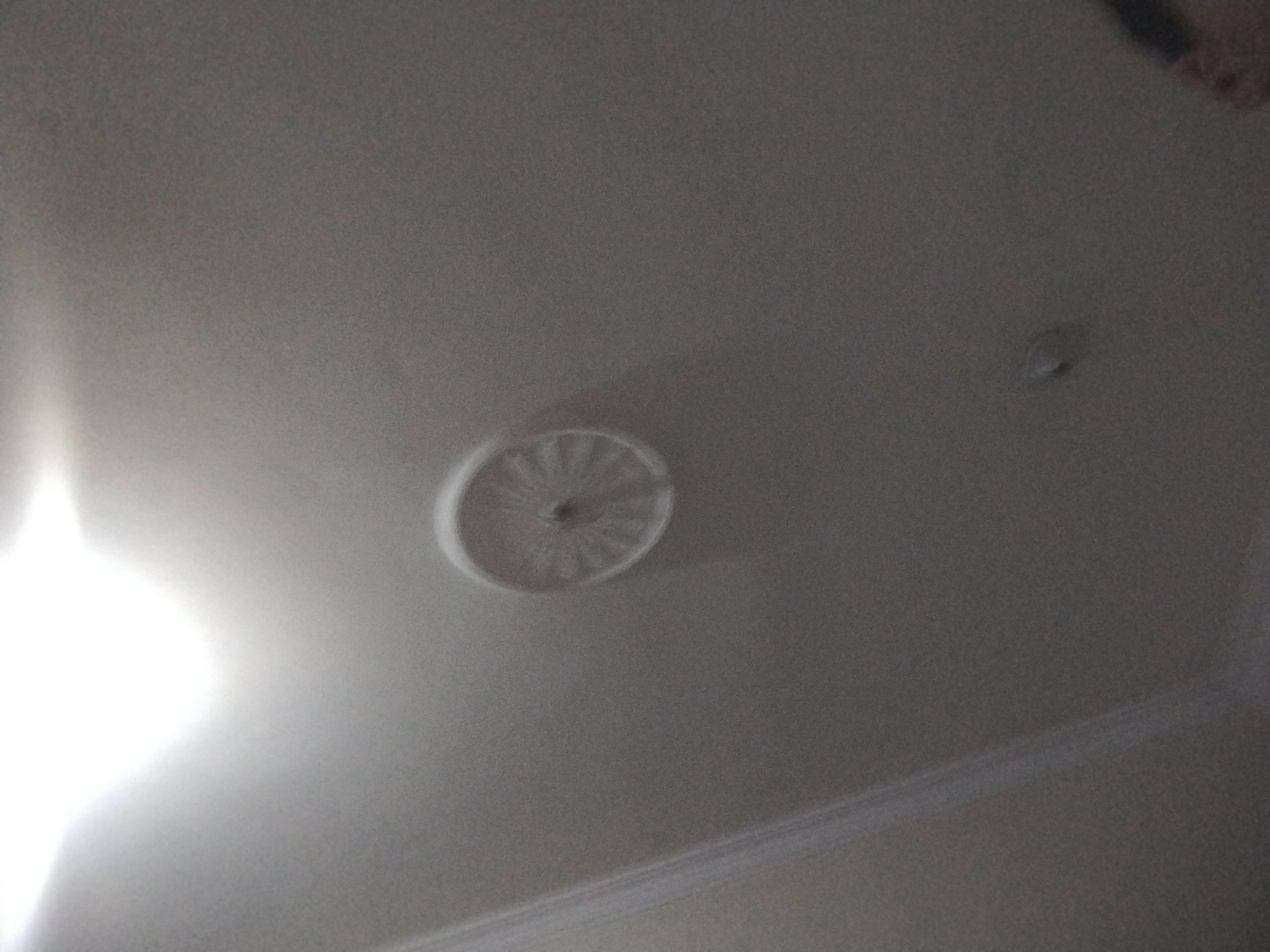 c57e0876-2e15-4d6c-b730-c083a3f1f897.jpeg