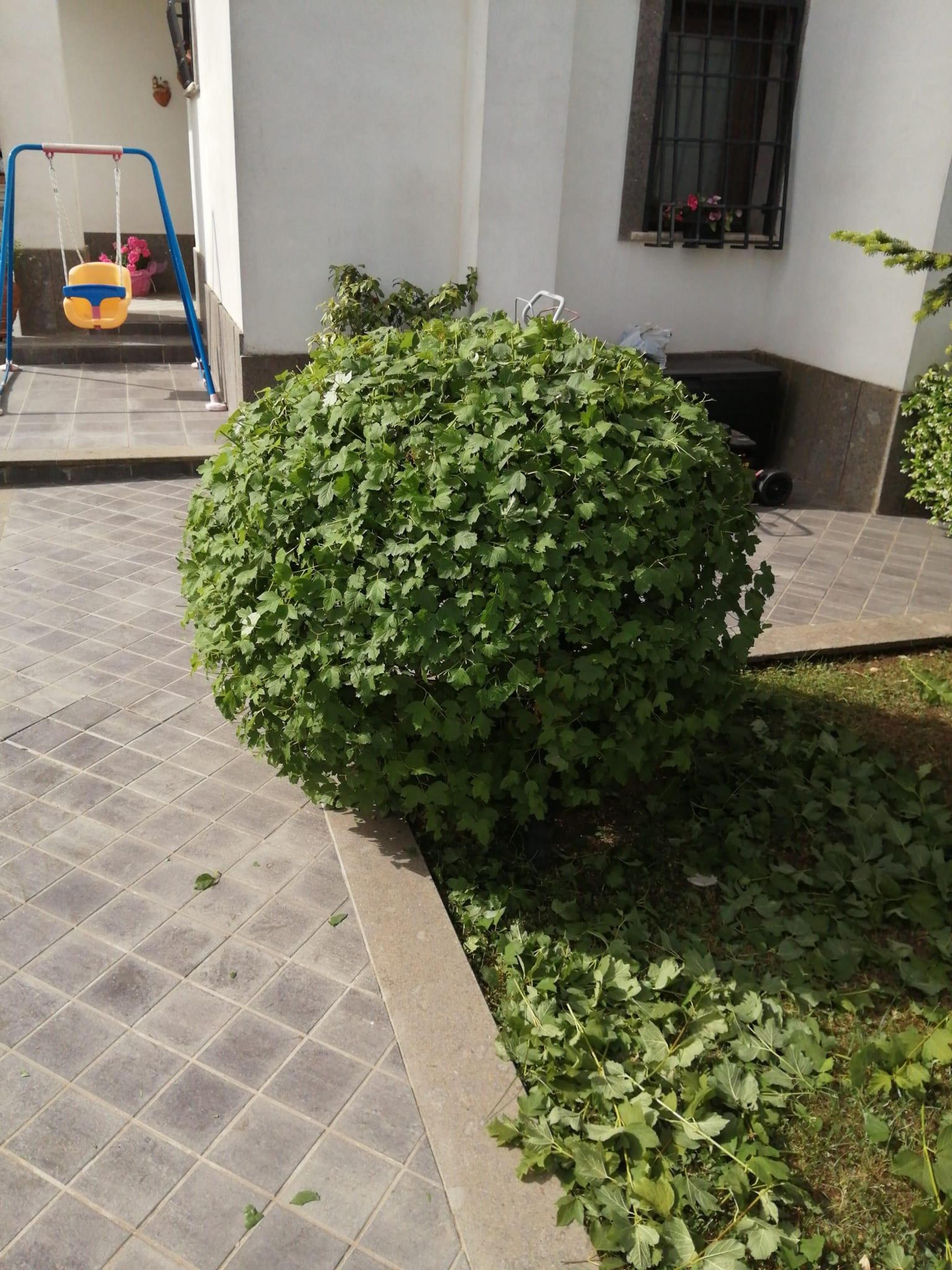 c5debaab-e097-444e-b85b-a49164c74fea.jpeg