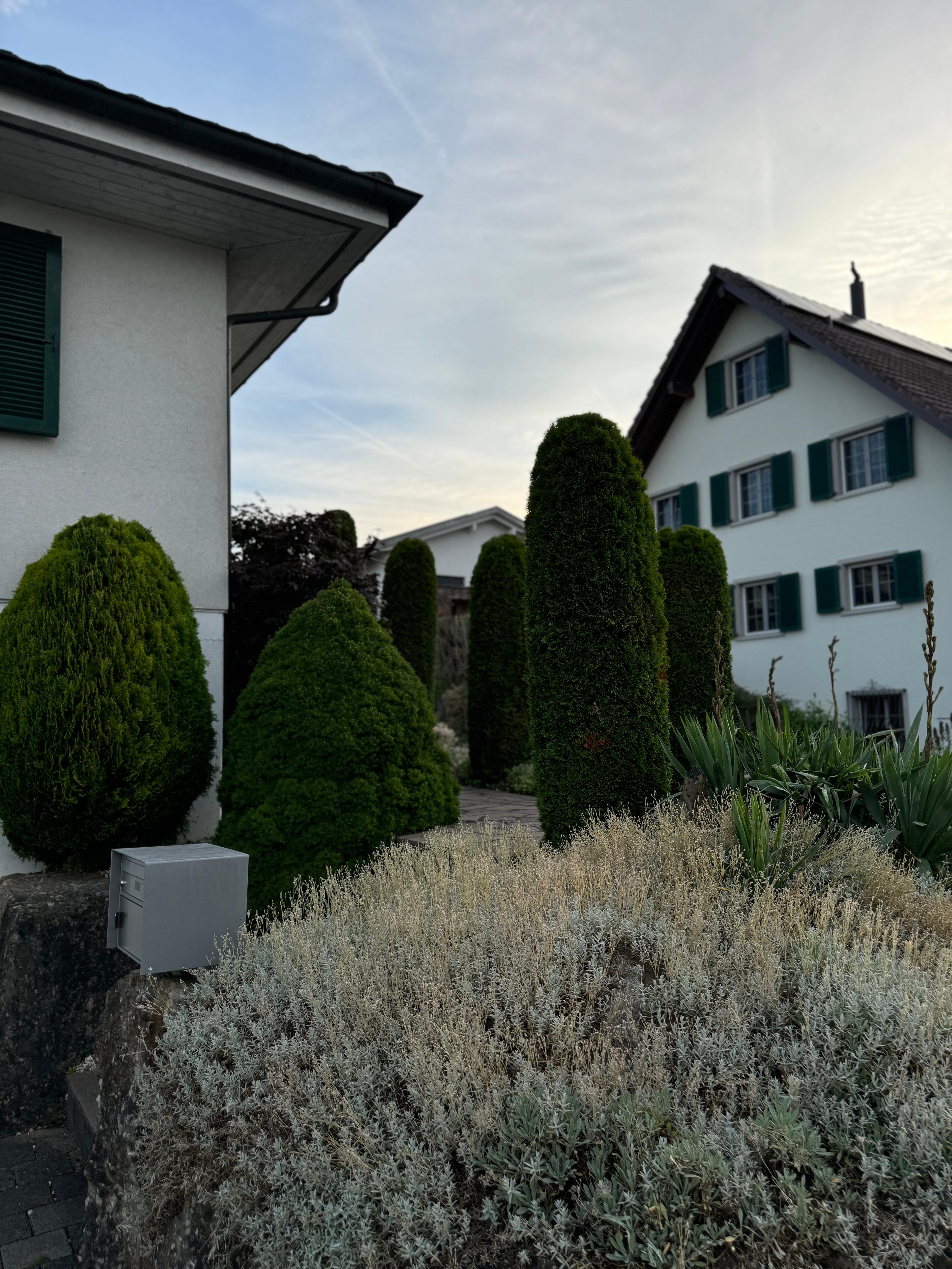 c5f020e5-e651-4229-ad20-24109db7b3d1.jpeg