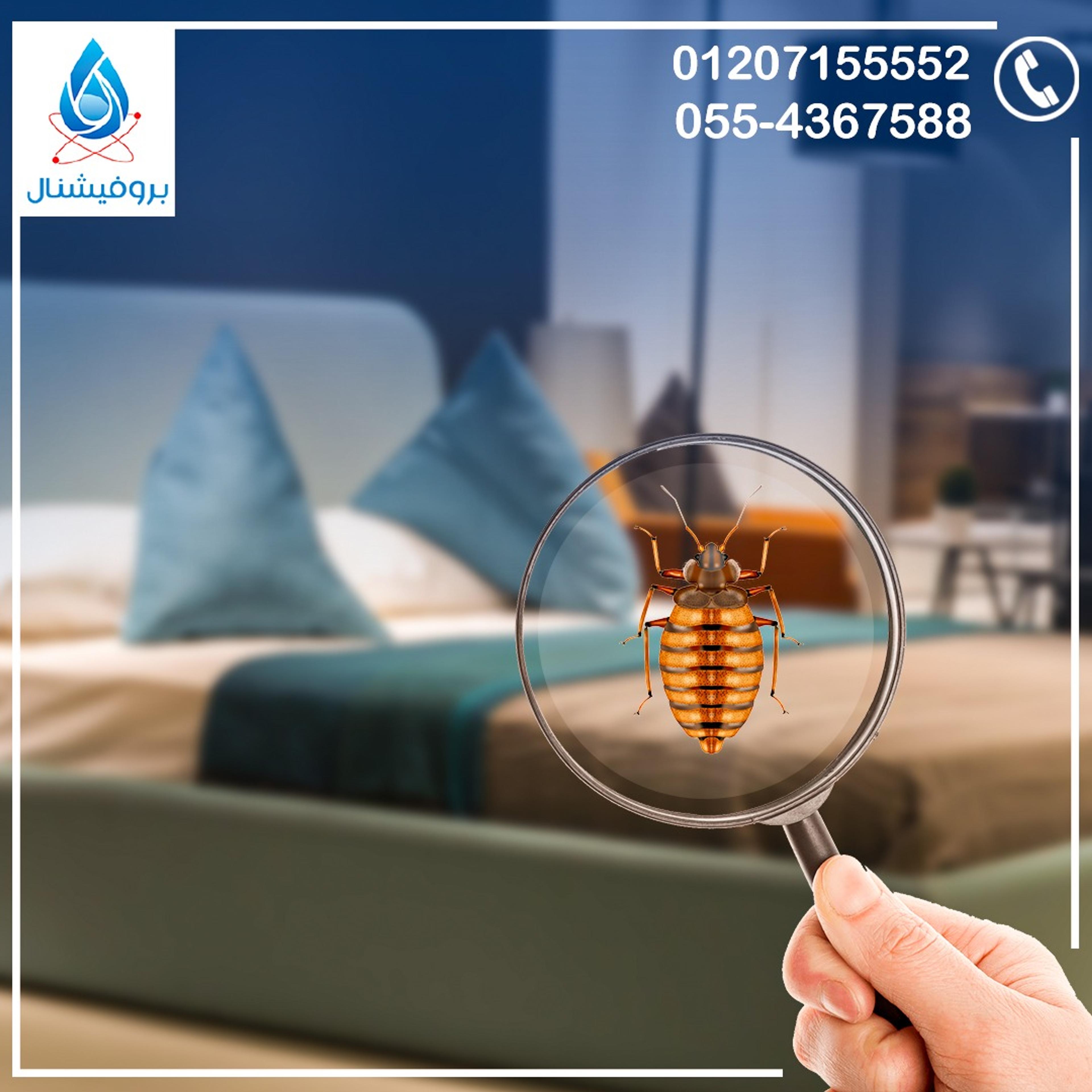 c6621fed-adbd-4b89-85df-49c0f7c2b520.jpeg