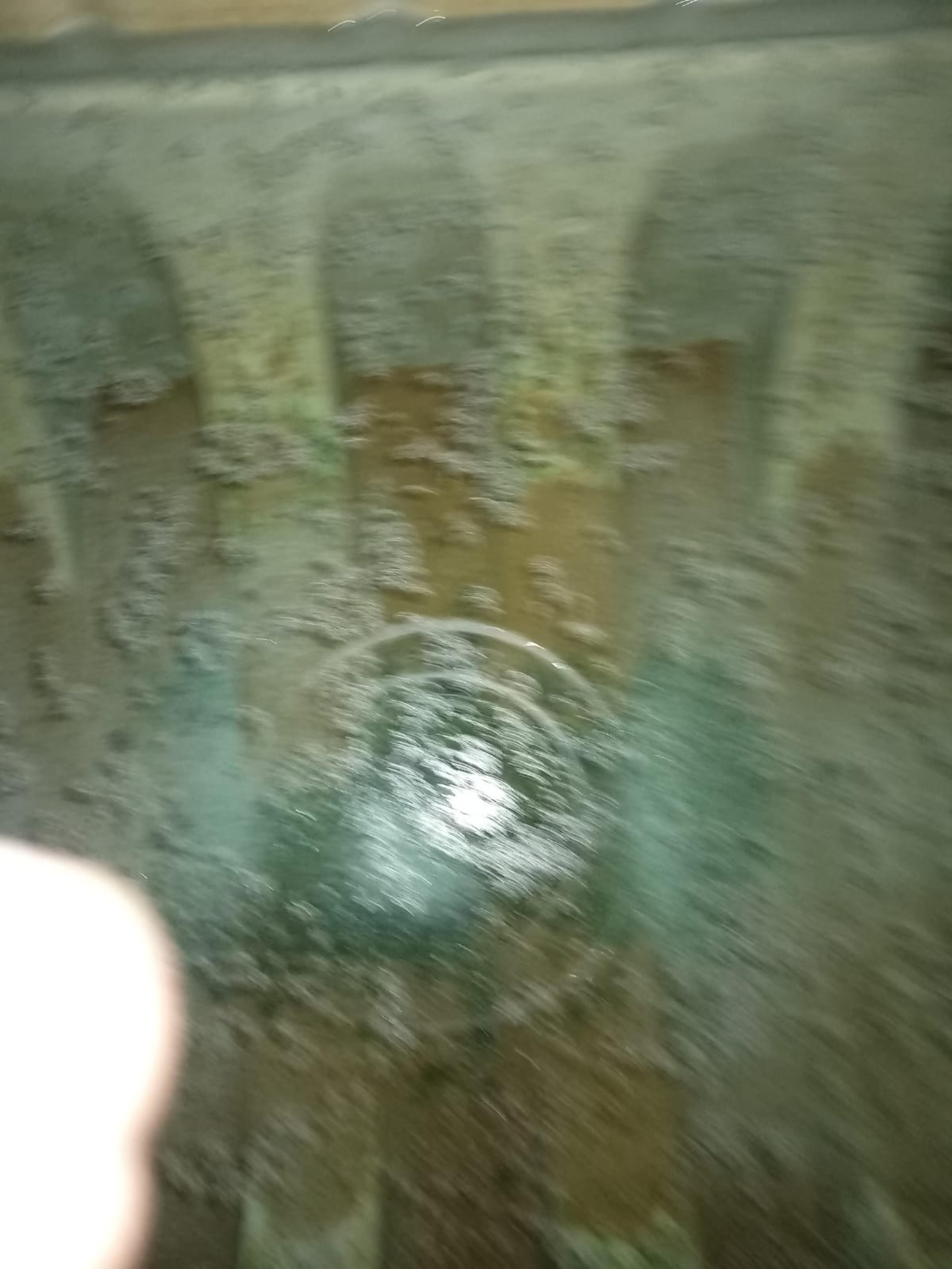 c666d5a1-9fe0-44d6-927c-5b5806531cf5.jpeg