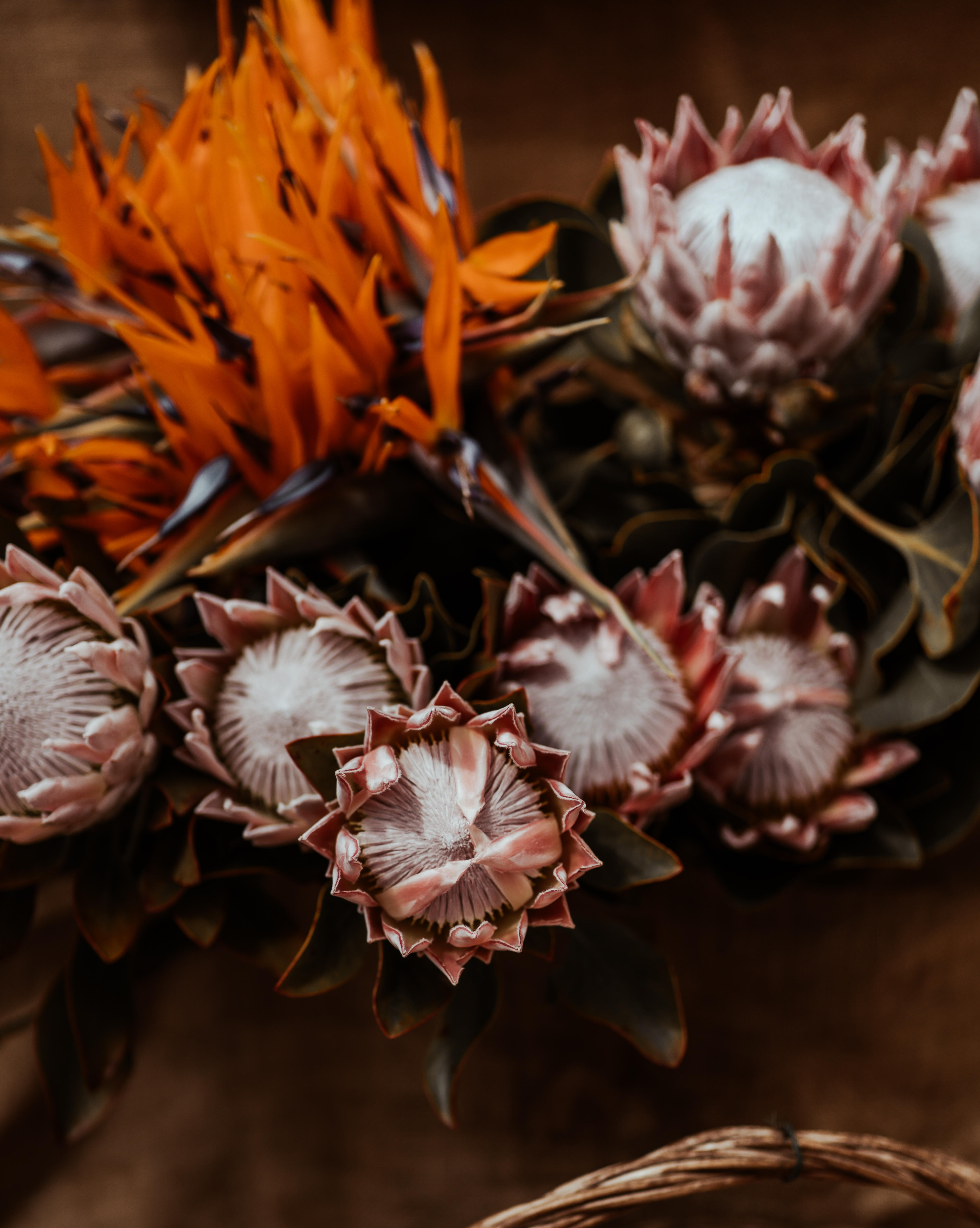 c68b16e3-d8b3-46dd-8da2-0284ddd48da6.jpeg
