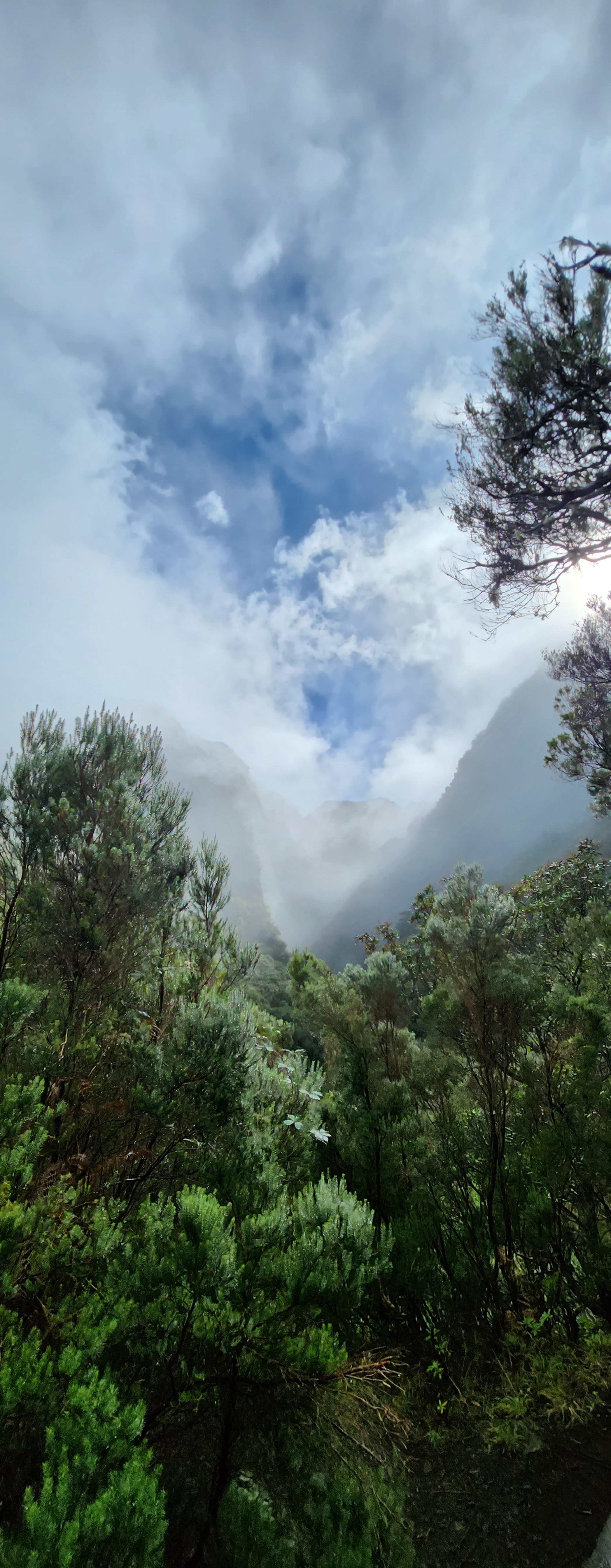 c697c1f0-b769-40d5-9ef9-6cc5dd3b3910.jpeg