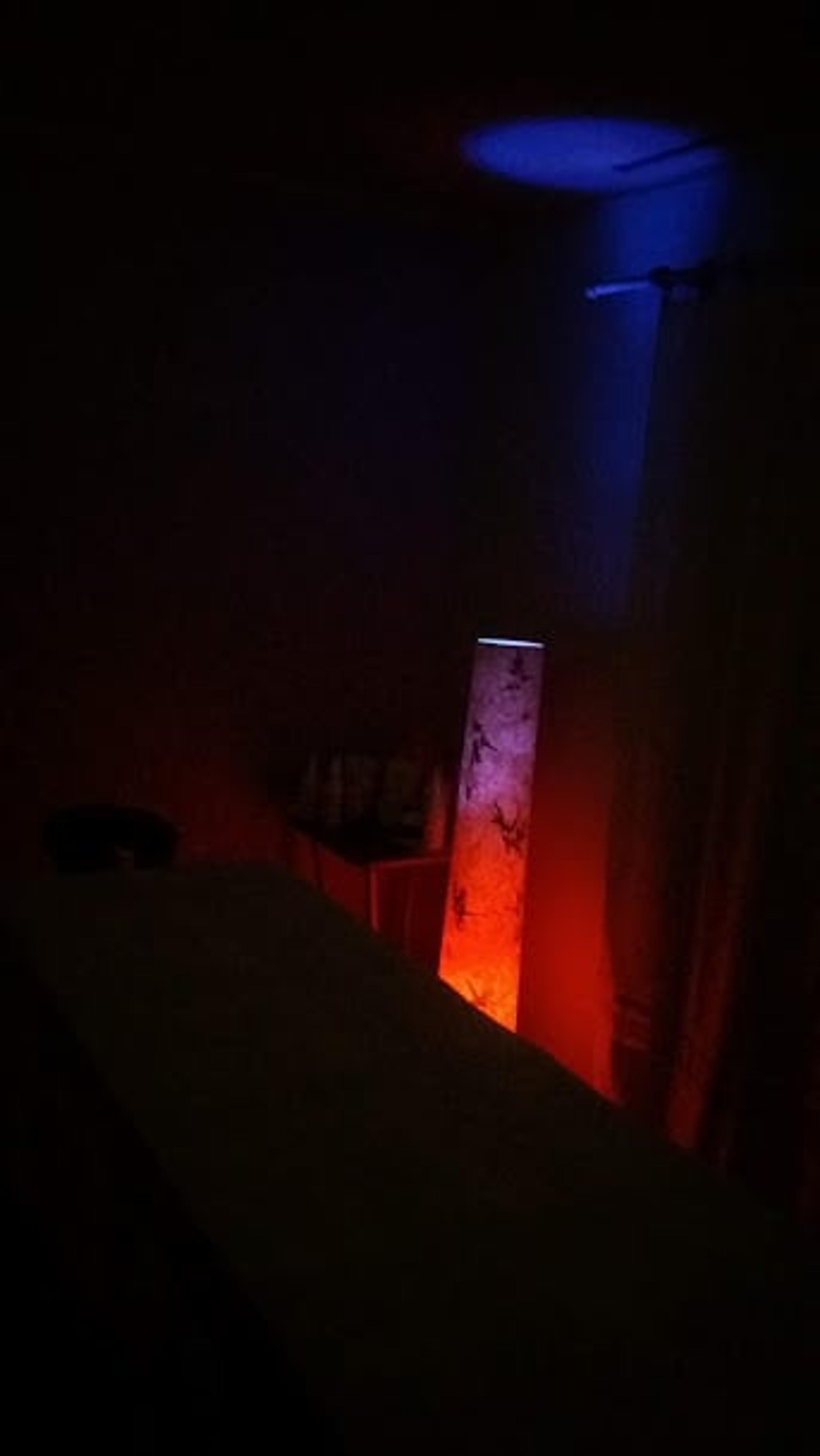 c6cb8ce3-7675-467d-8968-5c525ba8ebf0.jpeg