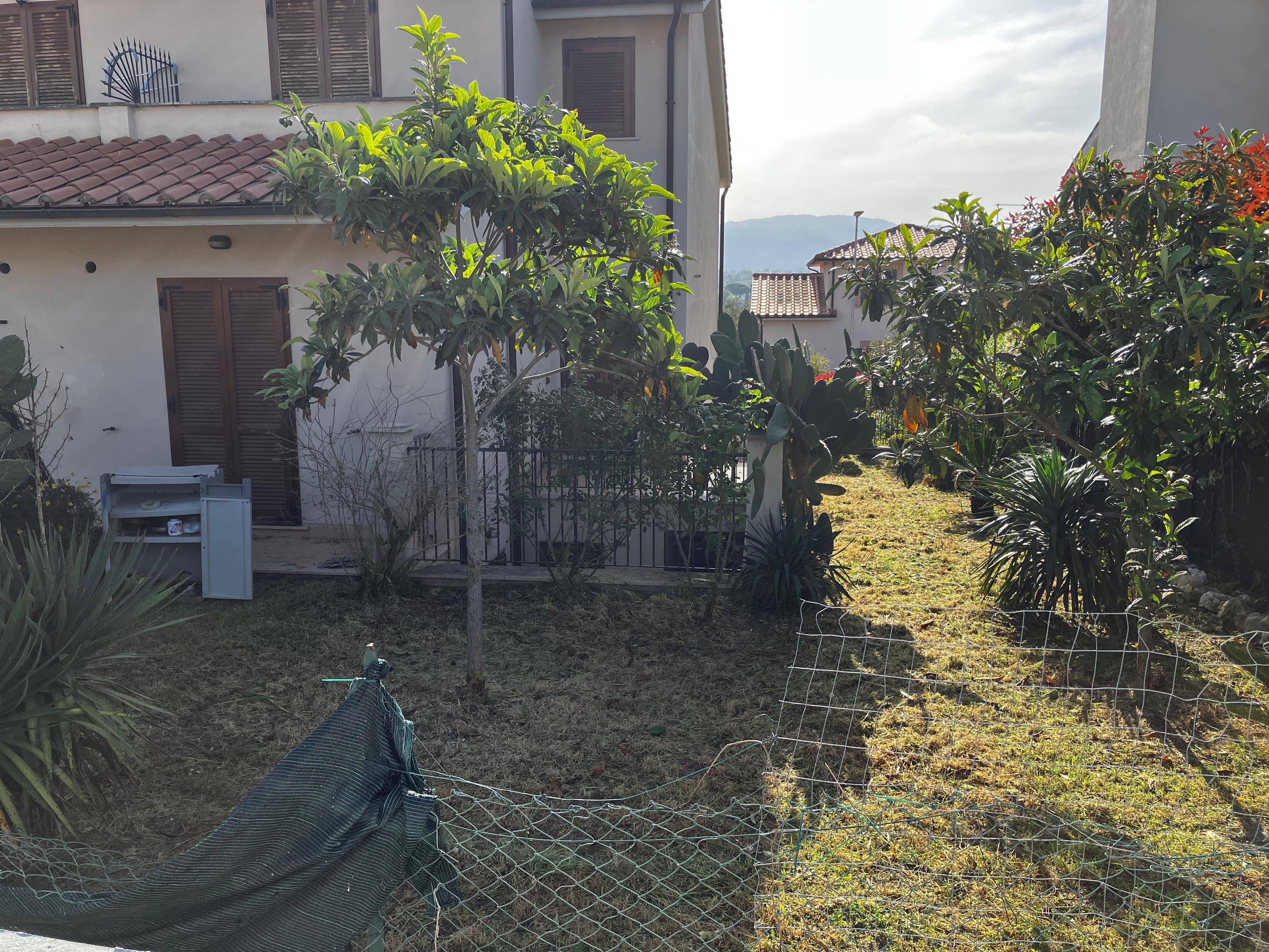 c762aefe-c065-4bc2-8a13-ed4cc0d26a6b.jpeg