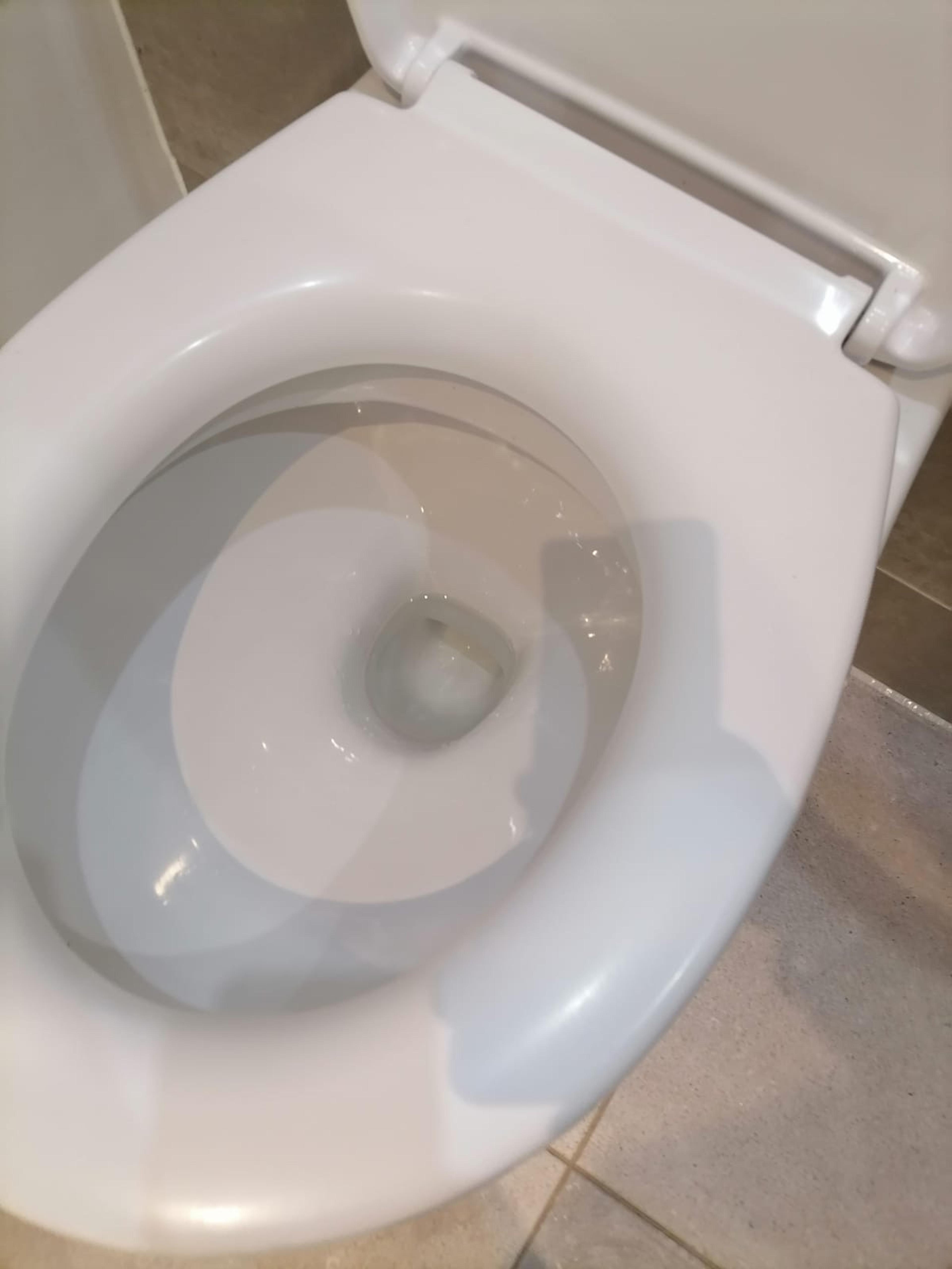 c95dfbac-73a5-4246-b4d9-23ce8c6e587a.jpeg