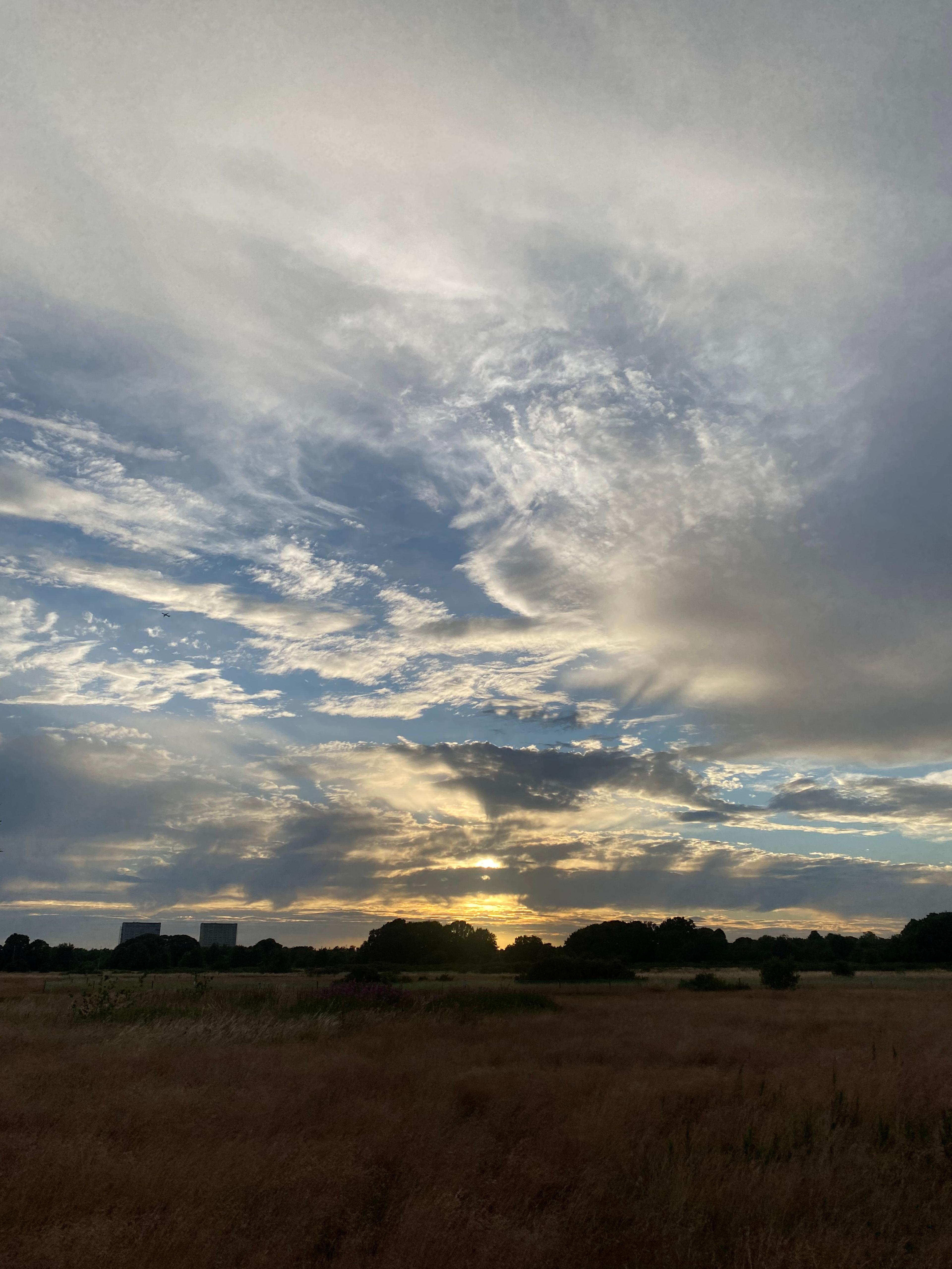 c9706349-278c-4b13-87cb-cb6dcc5a1166.jpeg