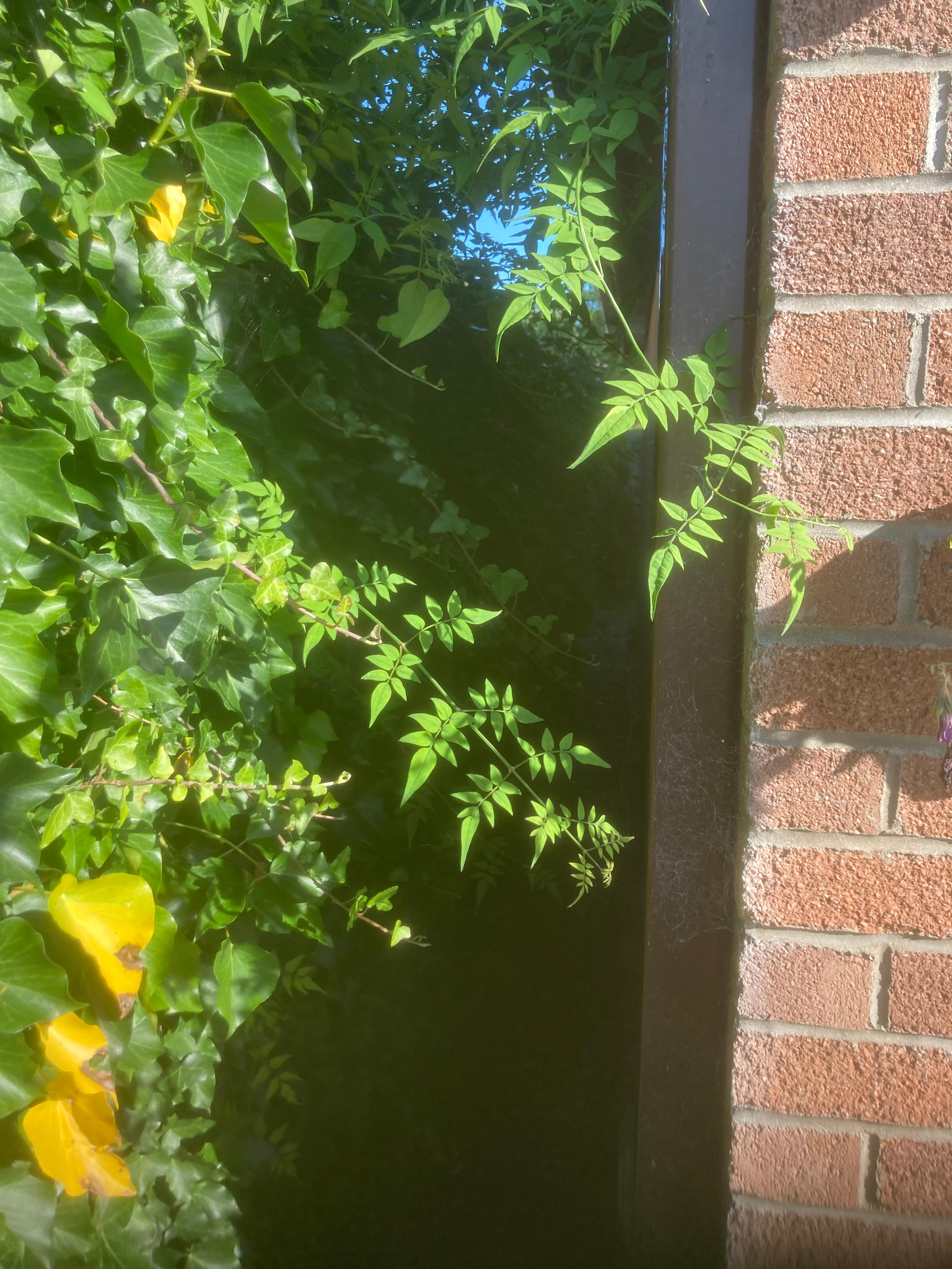 c9b55b5a-17df-4a79-8370-a6095129438b.jpeg