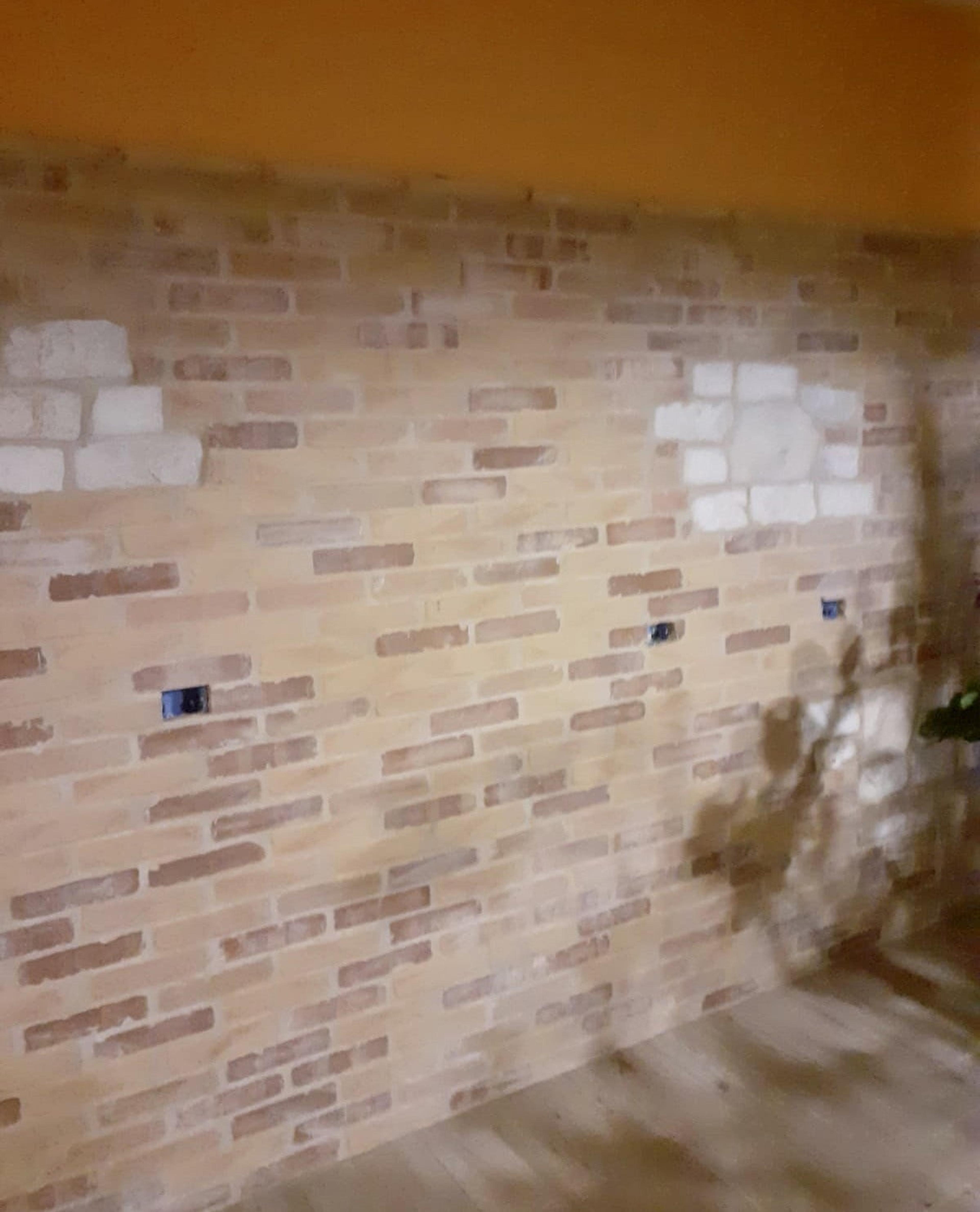 c9e1950e-3304-4f33-a739-e3d469670538.jpeg