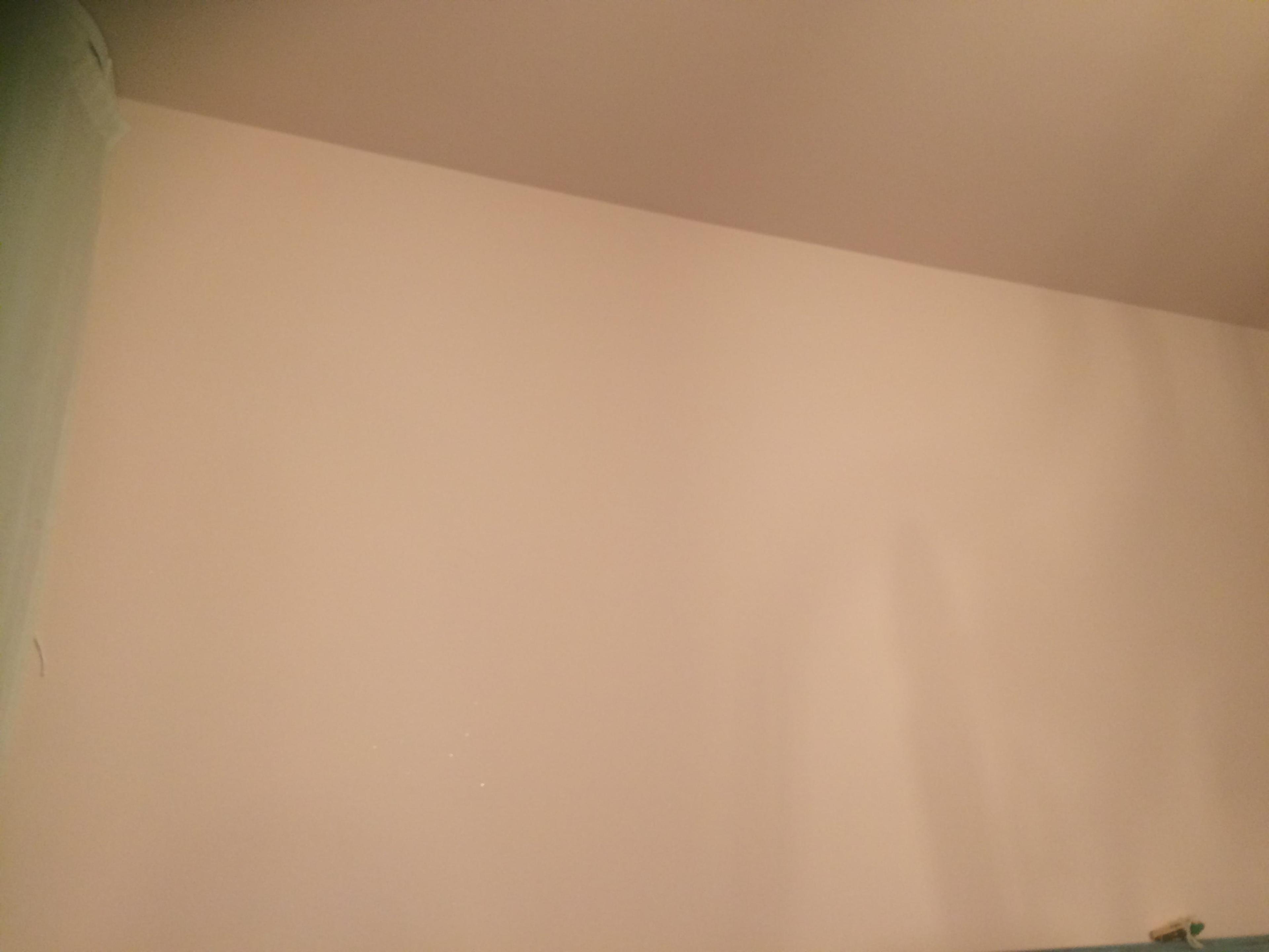 ca4ee395-ceac-40c1-9471-a6a99ebf23b7.jpeg
