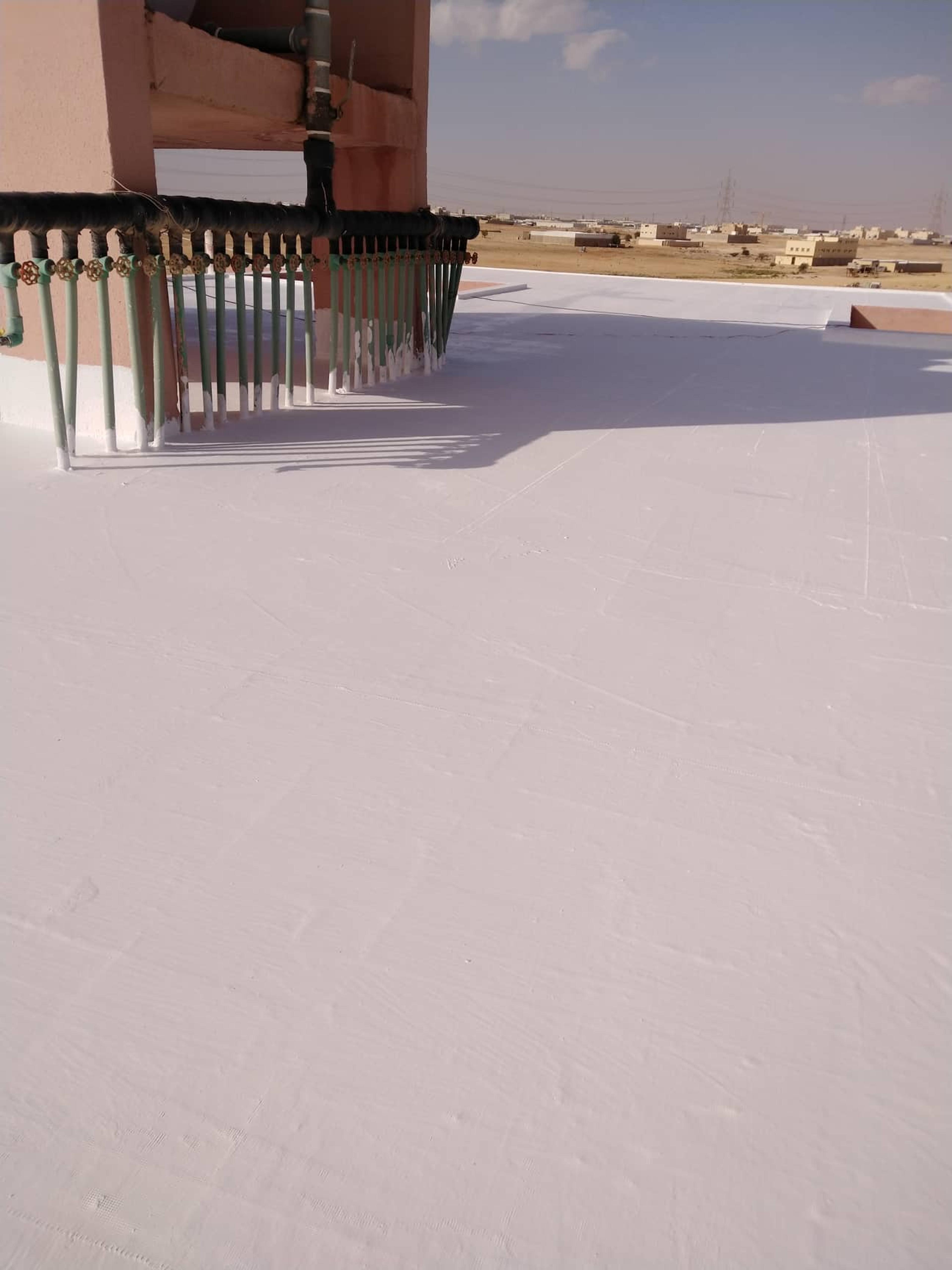ca55fe3b-ba7a-40c0-9403-d6d35e24a2f3.jpeg