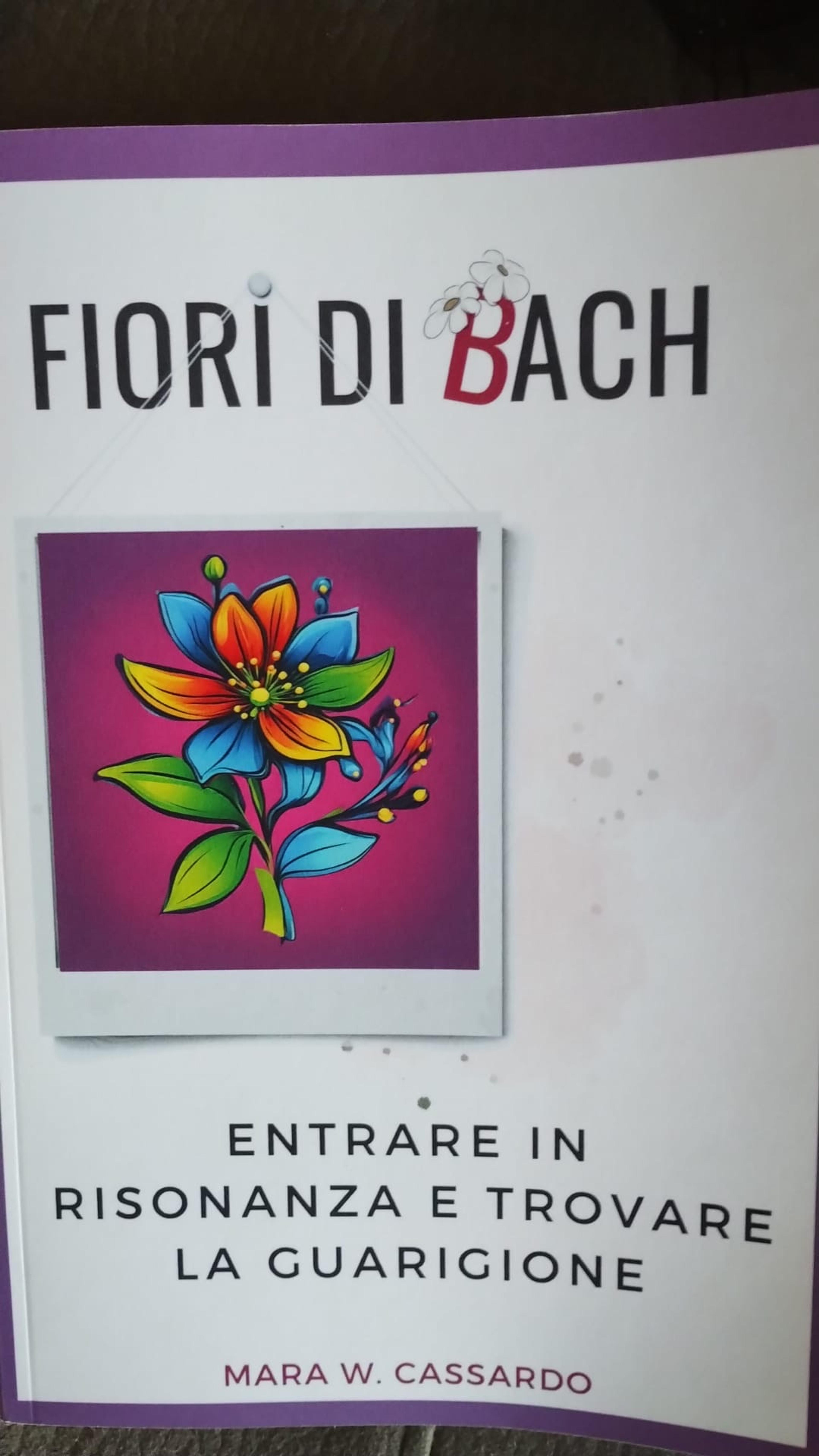 ca95cf73-b718-4fc2-a50e-df7310aa5ee6.jpeg