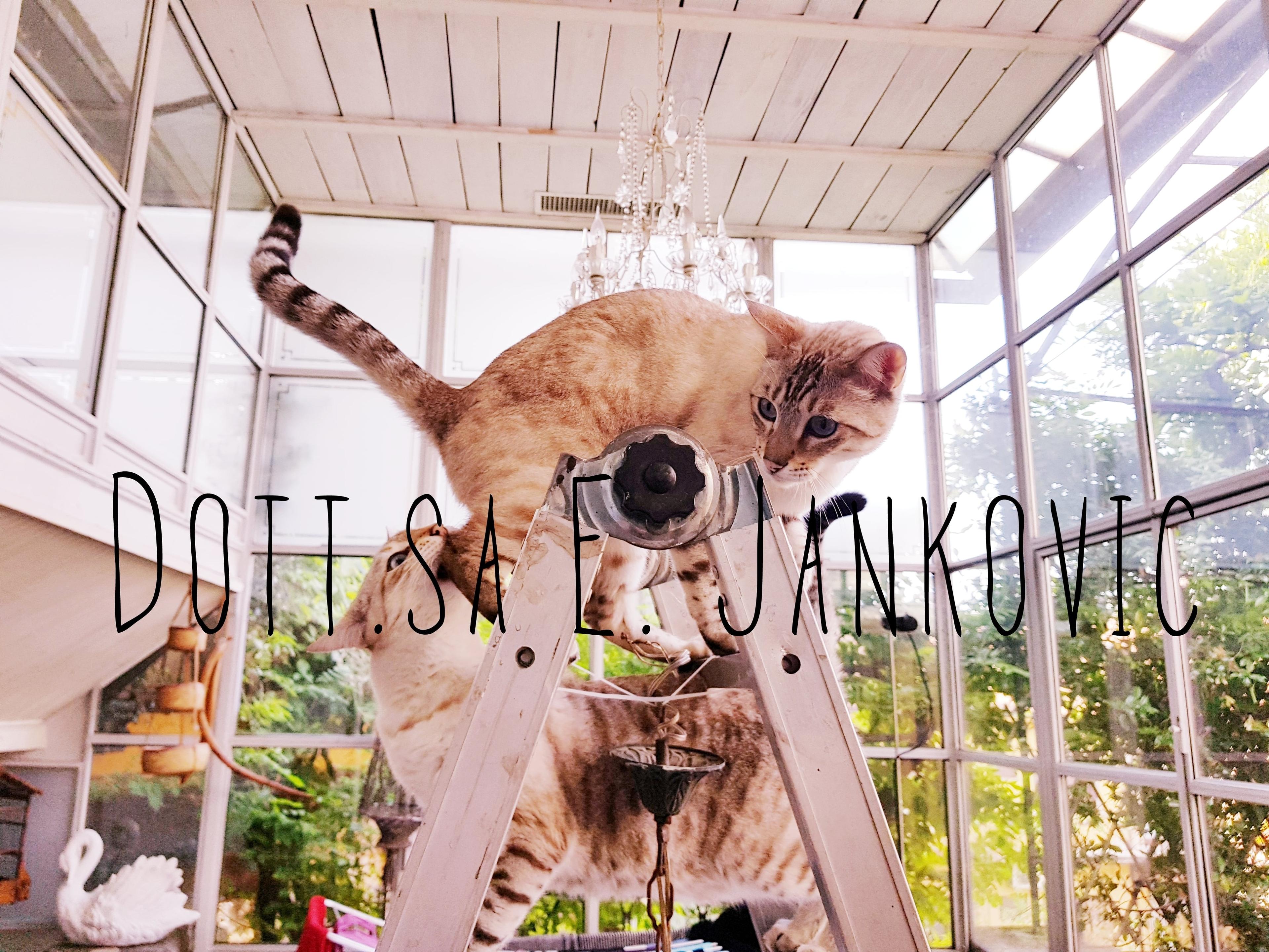 cb2c7a1e-6e31-426d-8b93-c4f20c2d6a09.jpeg