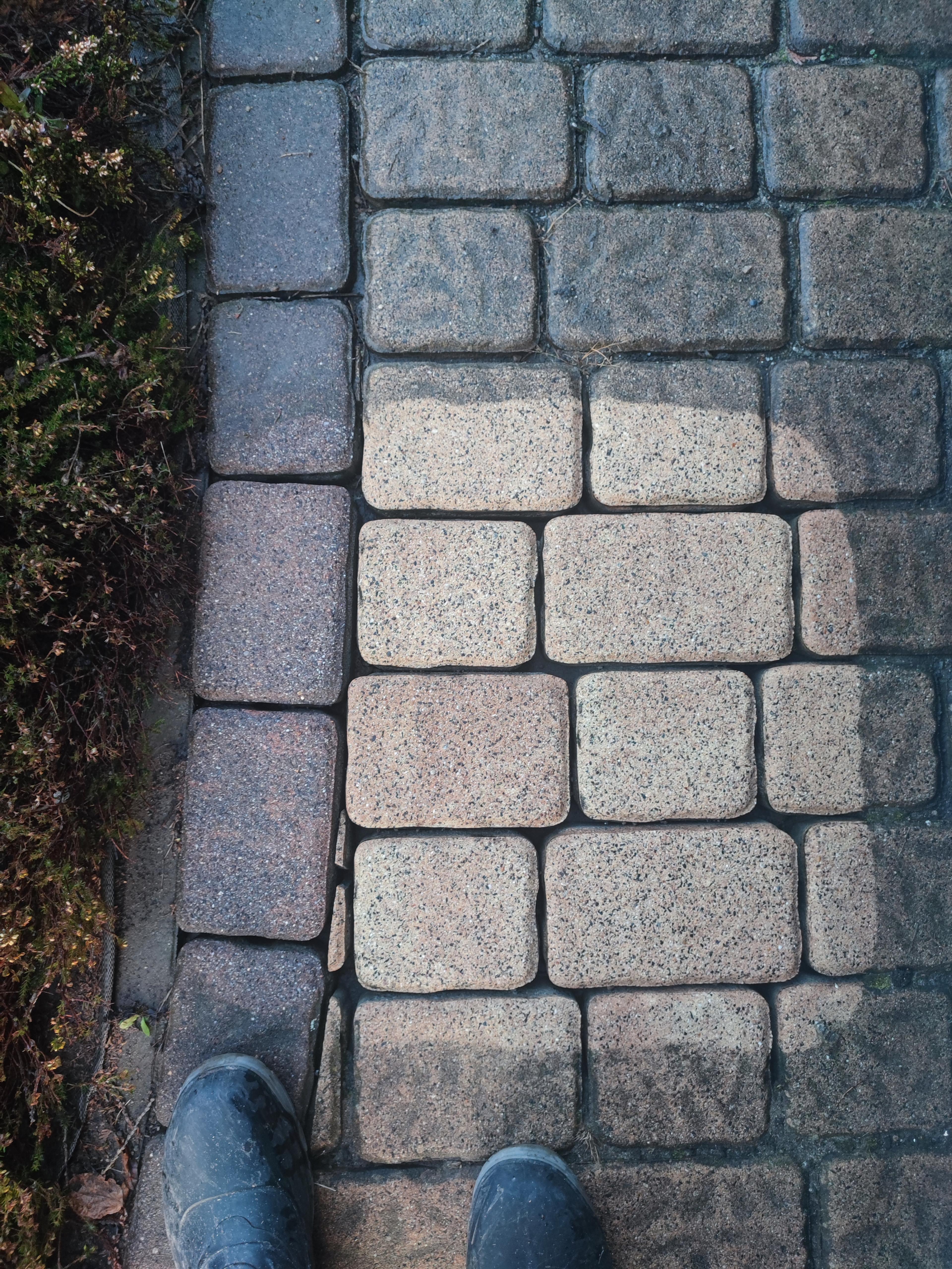 cc0348c5-f702-4af1-9a7d-aa2a5102bb20.jpeg