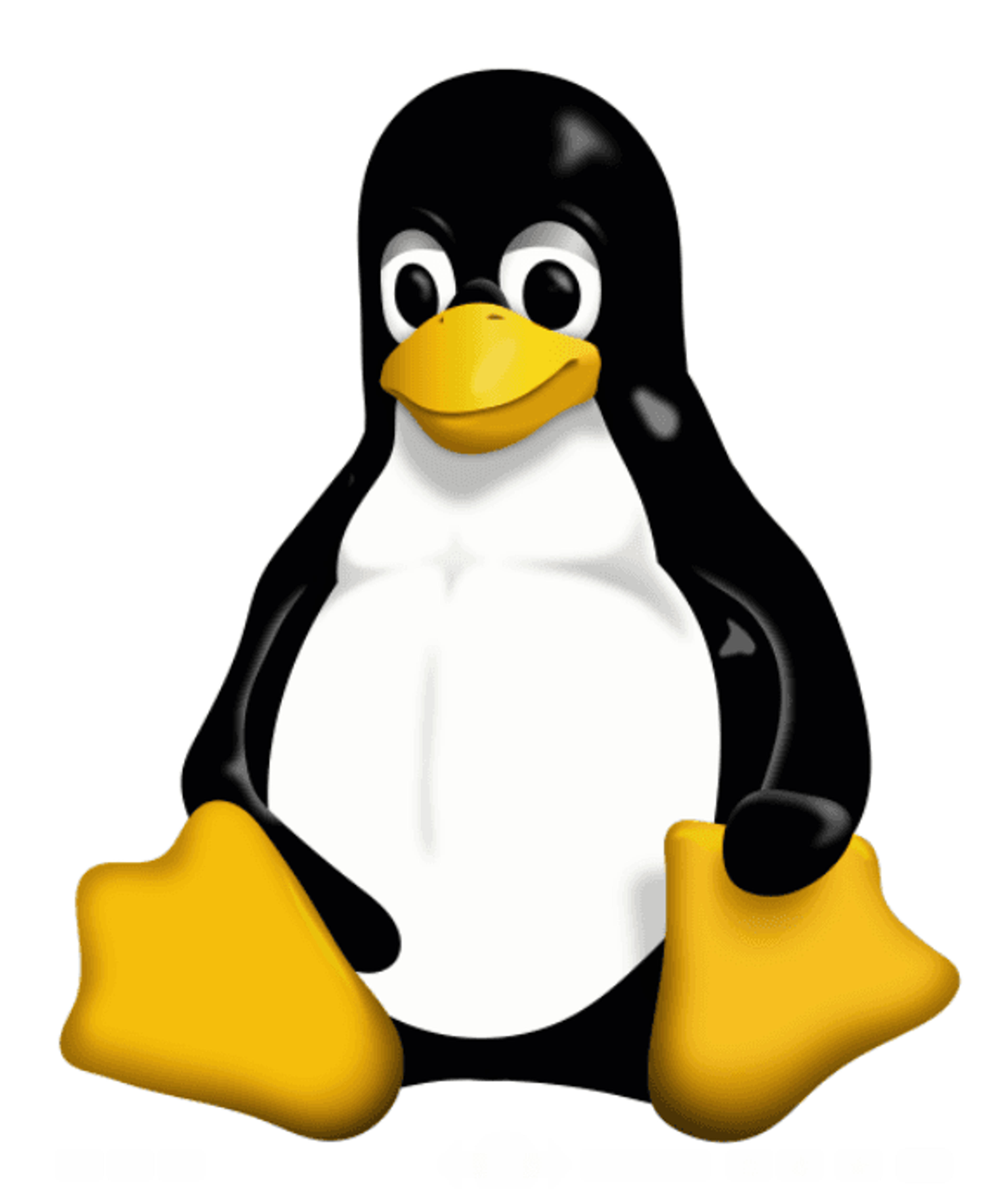 cc2d3787-e678-43bc-99fa-e7054b50f75f.png