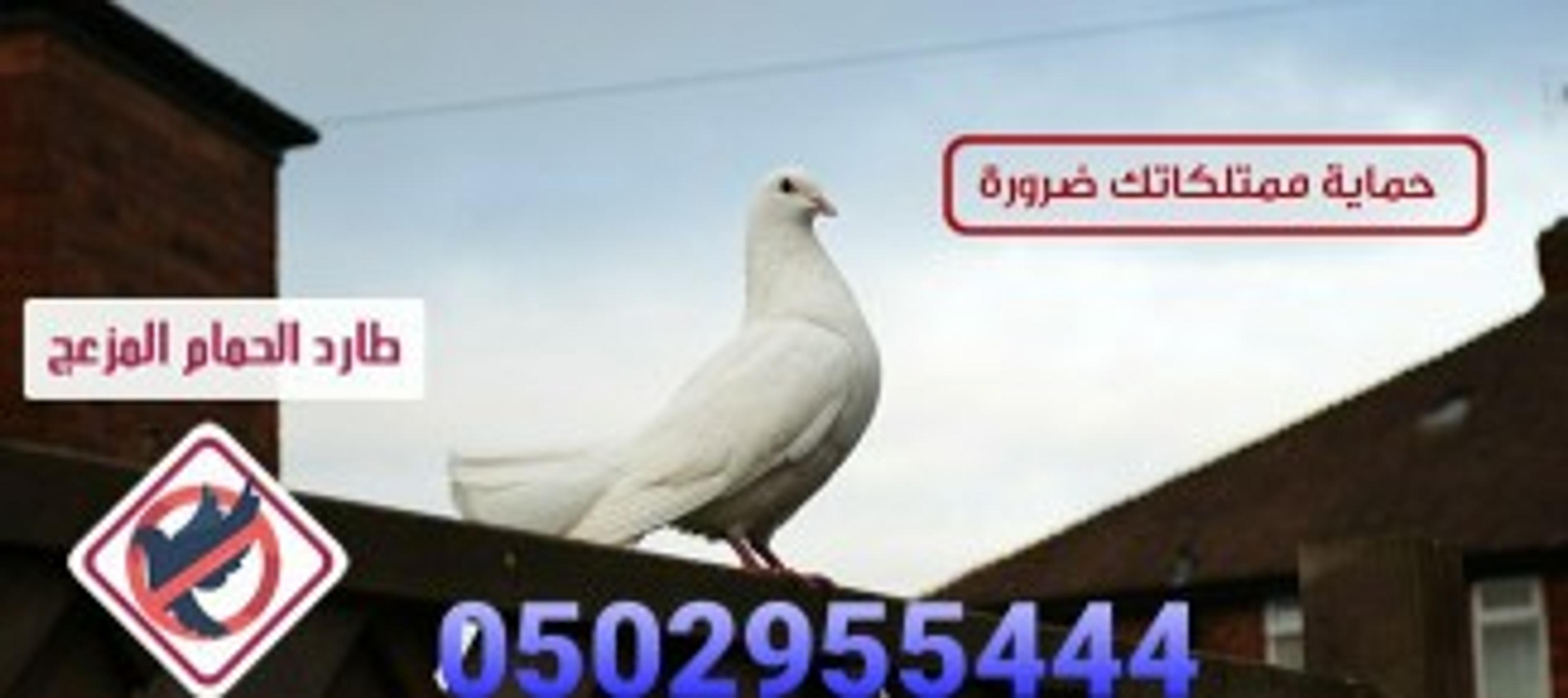 cc6c975a-39ab-40e9-bdf6-ce3b4b9d306f.jpeg