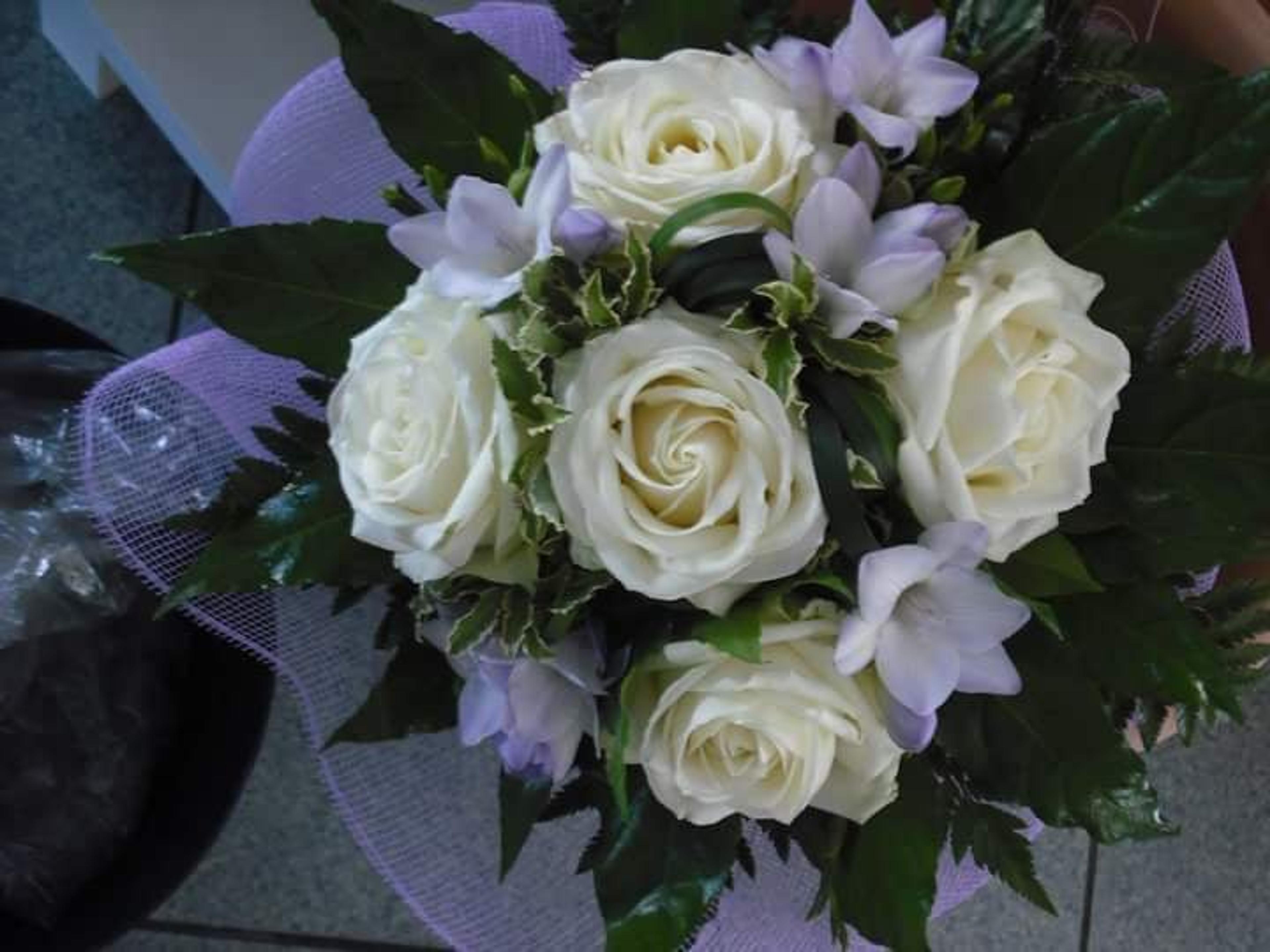 cdb81a25-32b9-4d89-9133-cd65ae442bcb.jpg