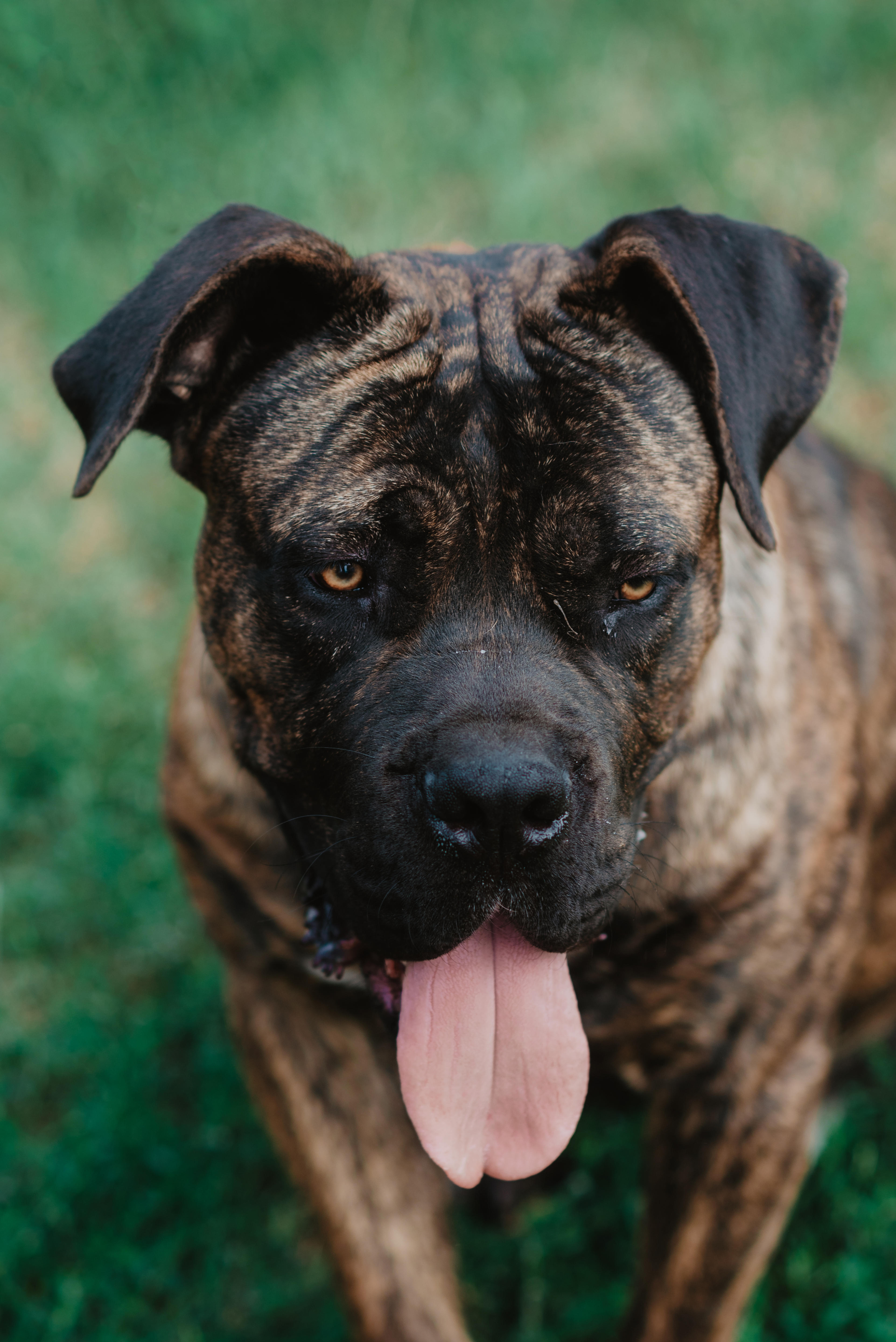 cdff2a64-1b4b-4270-acfb-056ca6e2cdb9.jpeg