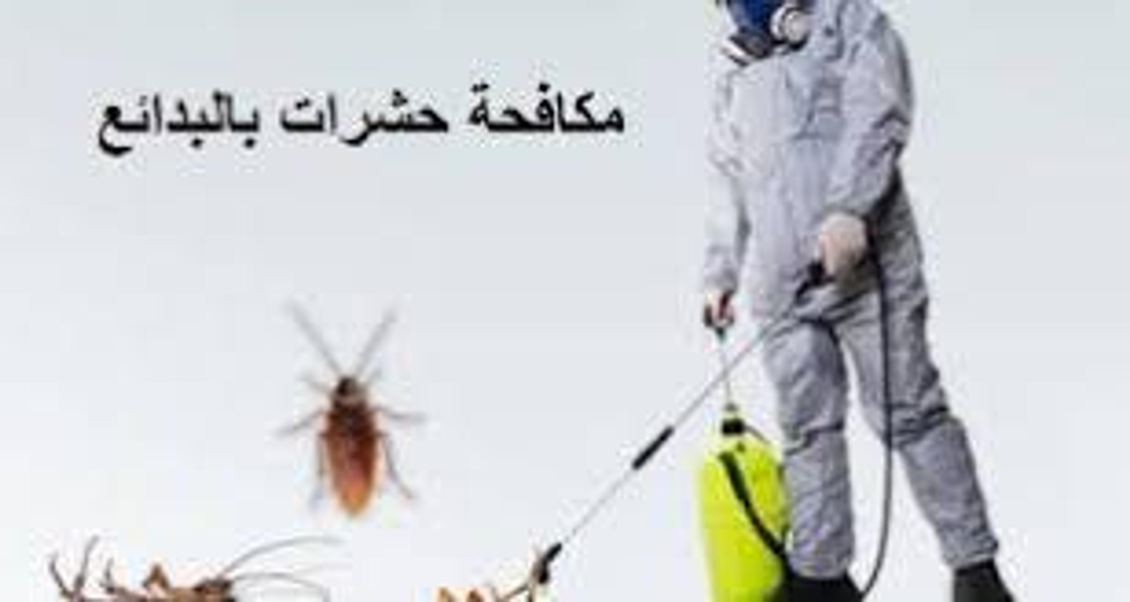 ce178876-8dd4-4653-a978-01c2f5f77bb7.jpeg