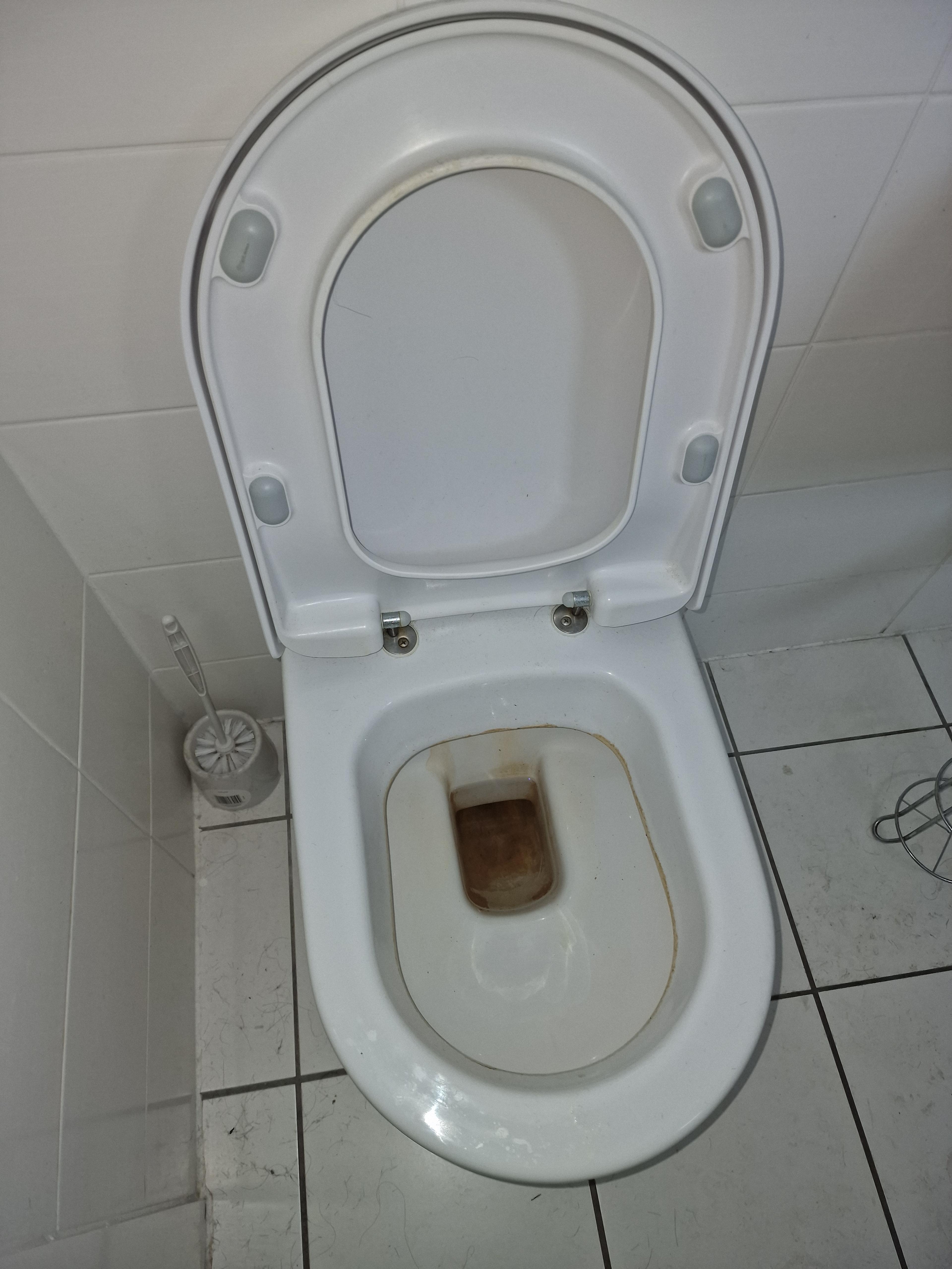 ce4888dd-f47c-4b10-b3d4-d2acb1954fb4.jpeg