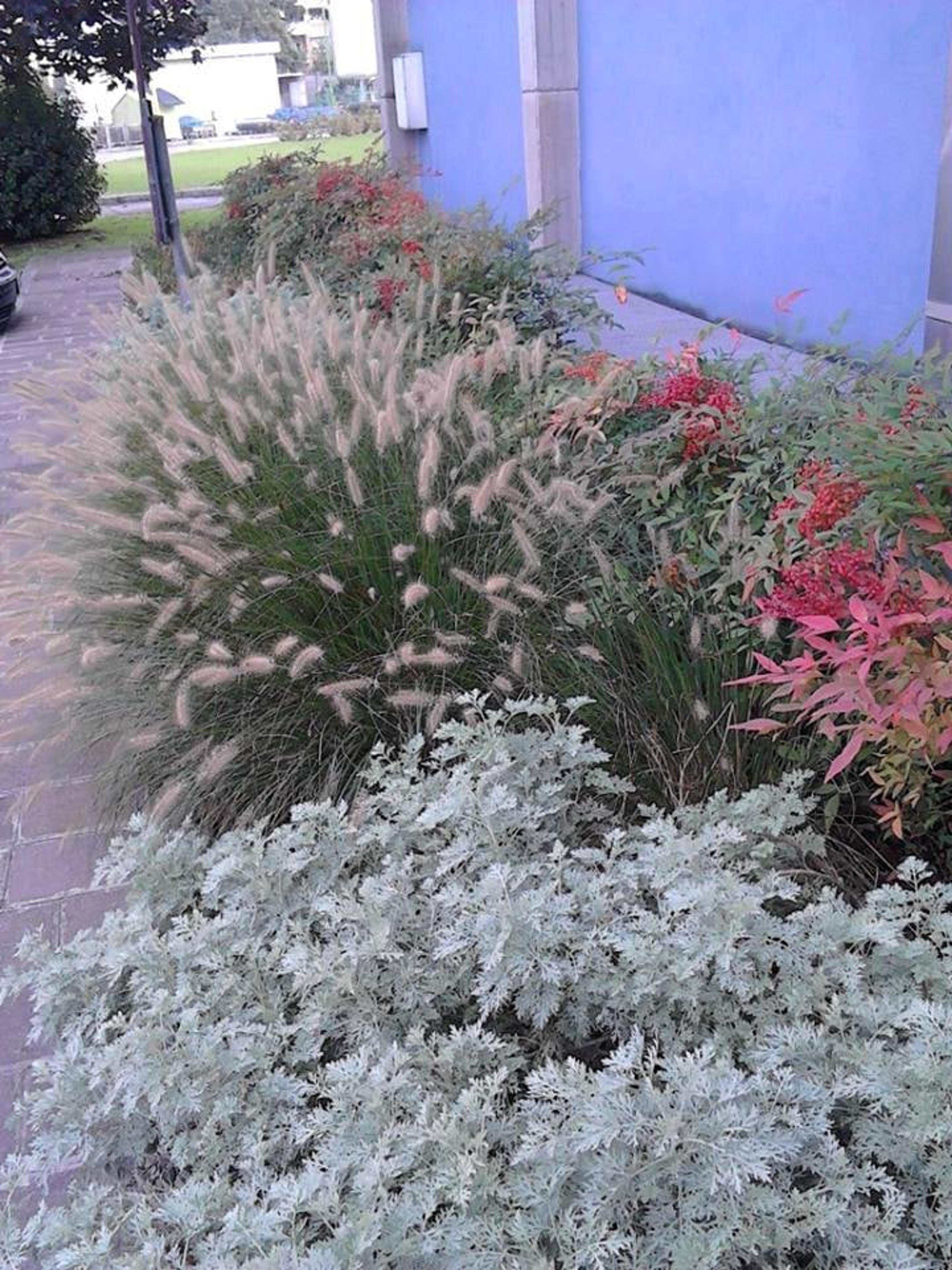 ce92bdef-fd71-4b1c-86d8-7bdaae210cbf.jpeg