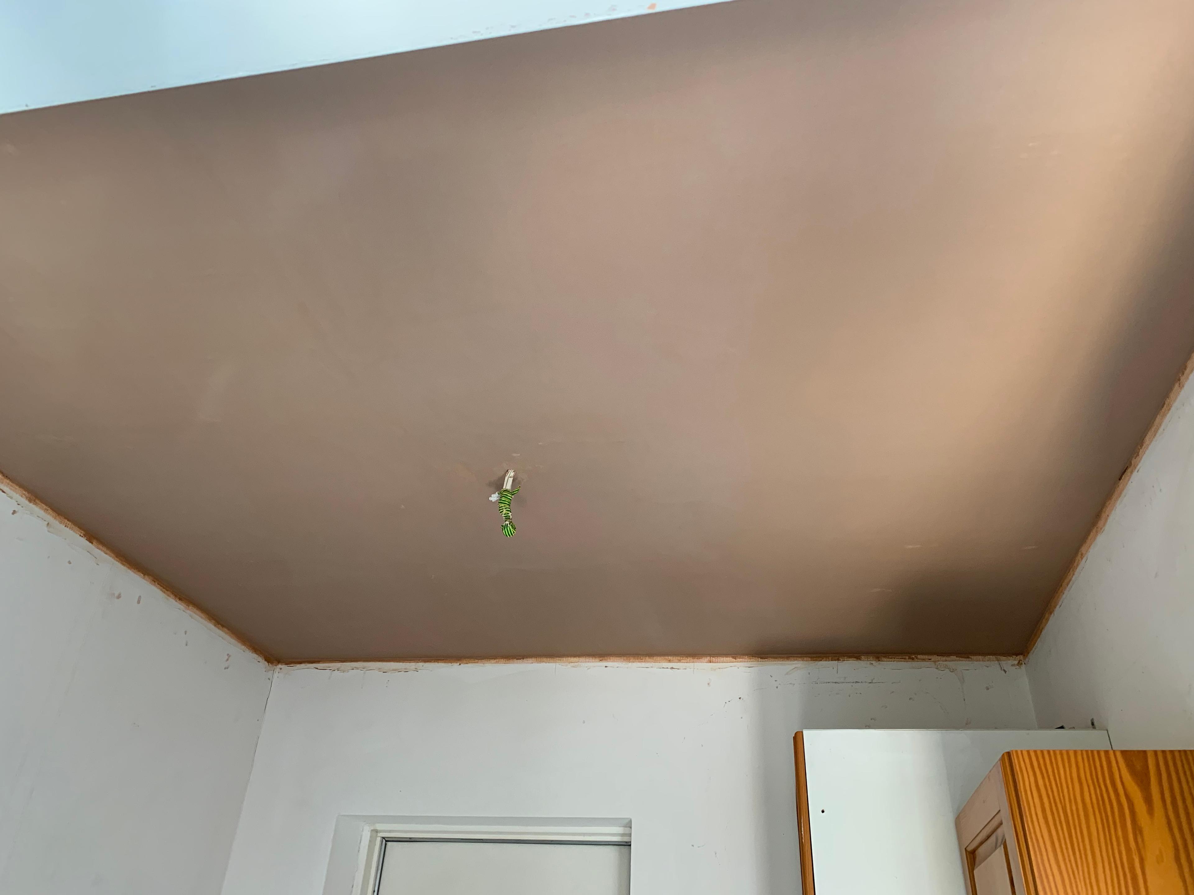 cecadaa8-db1f-4456-b831-b3c999a2505b.jpeg