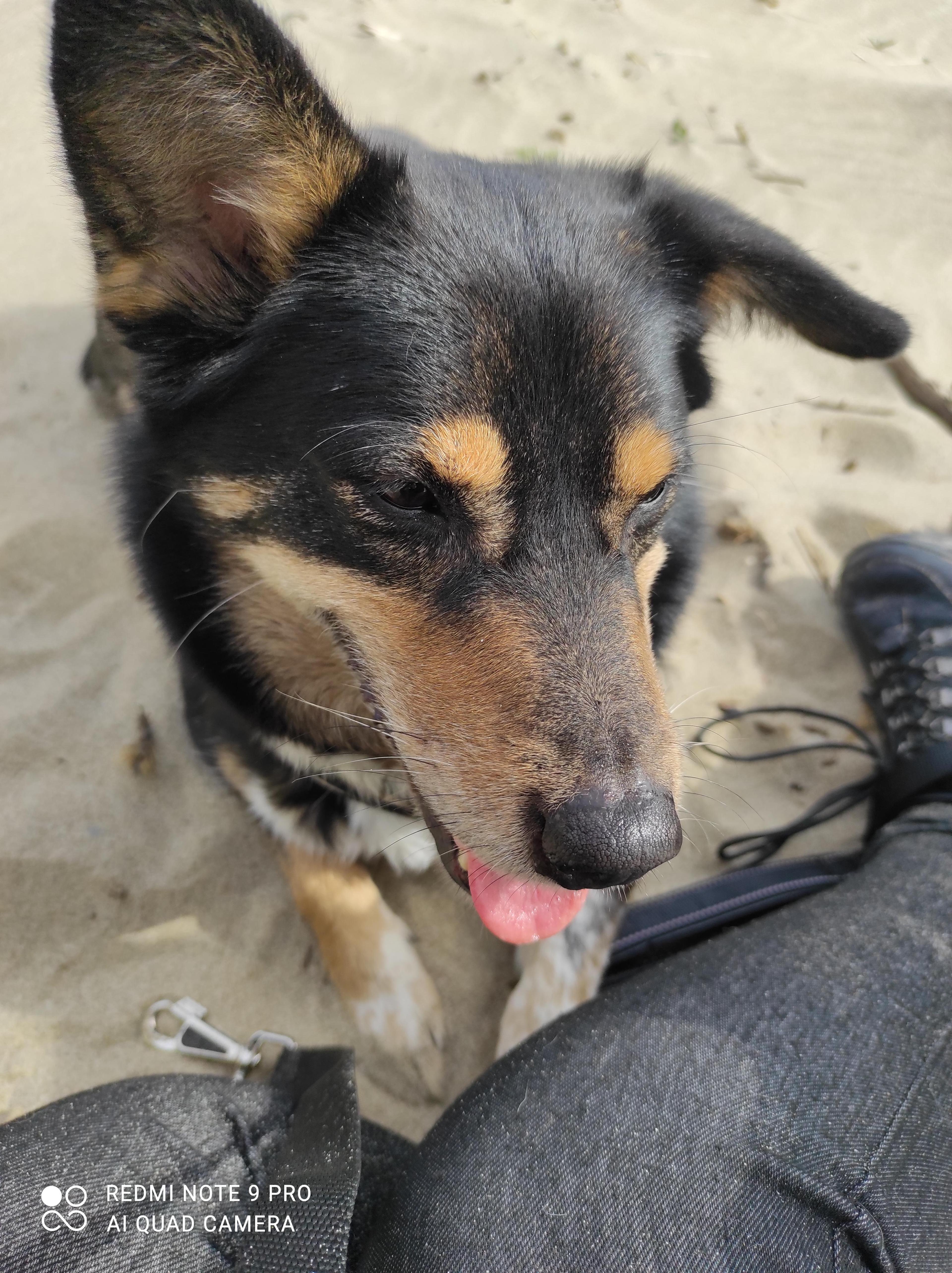 cece0956-b216-47a6-a82e-0027cf470e49.jpeg